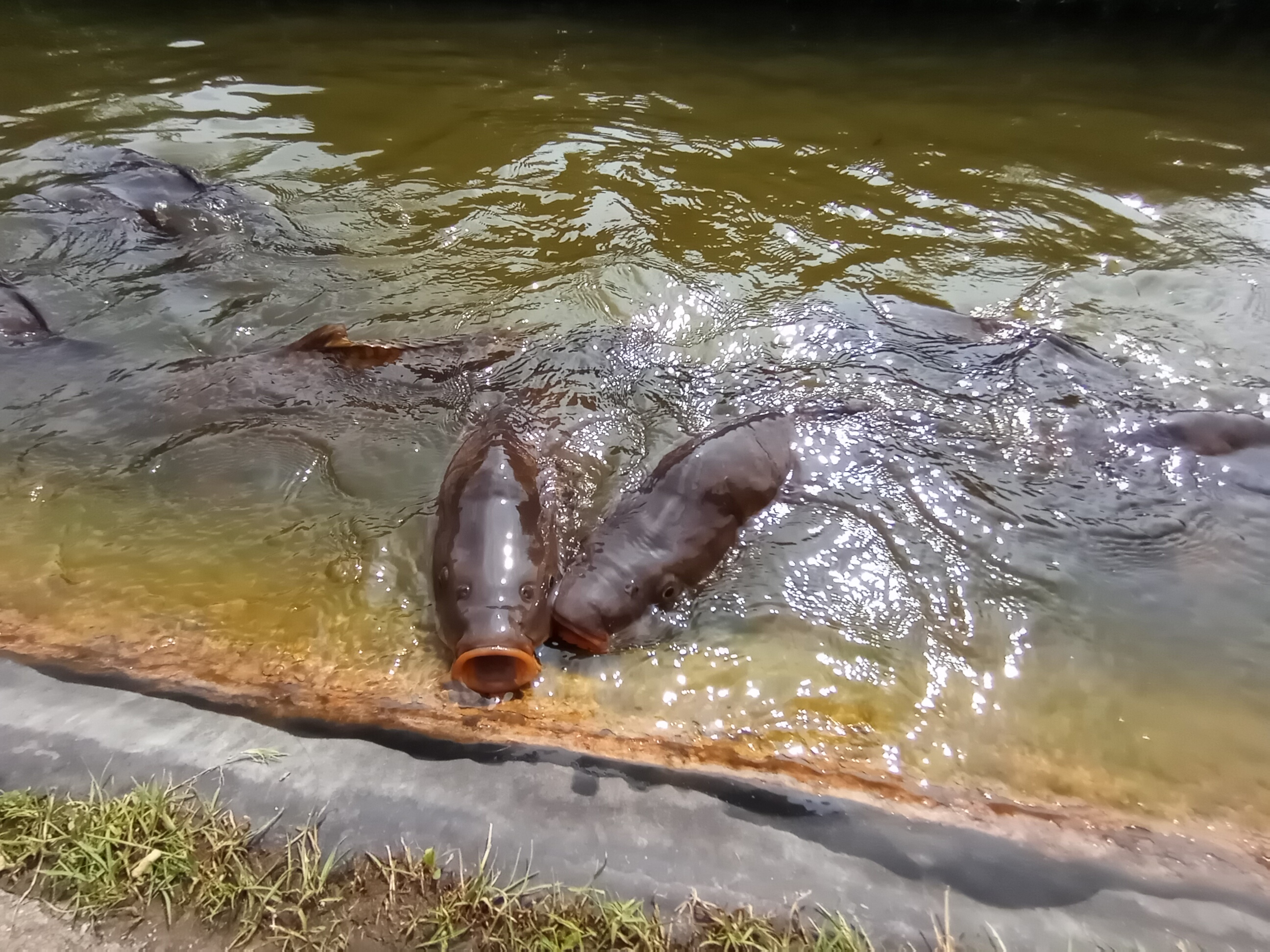 p-styletext-align-centerstrongHi-therenbspstrongpp-styletext-align