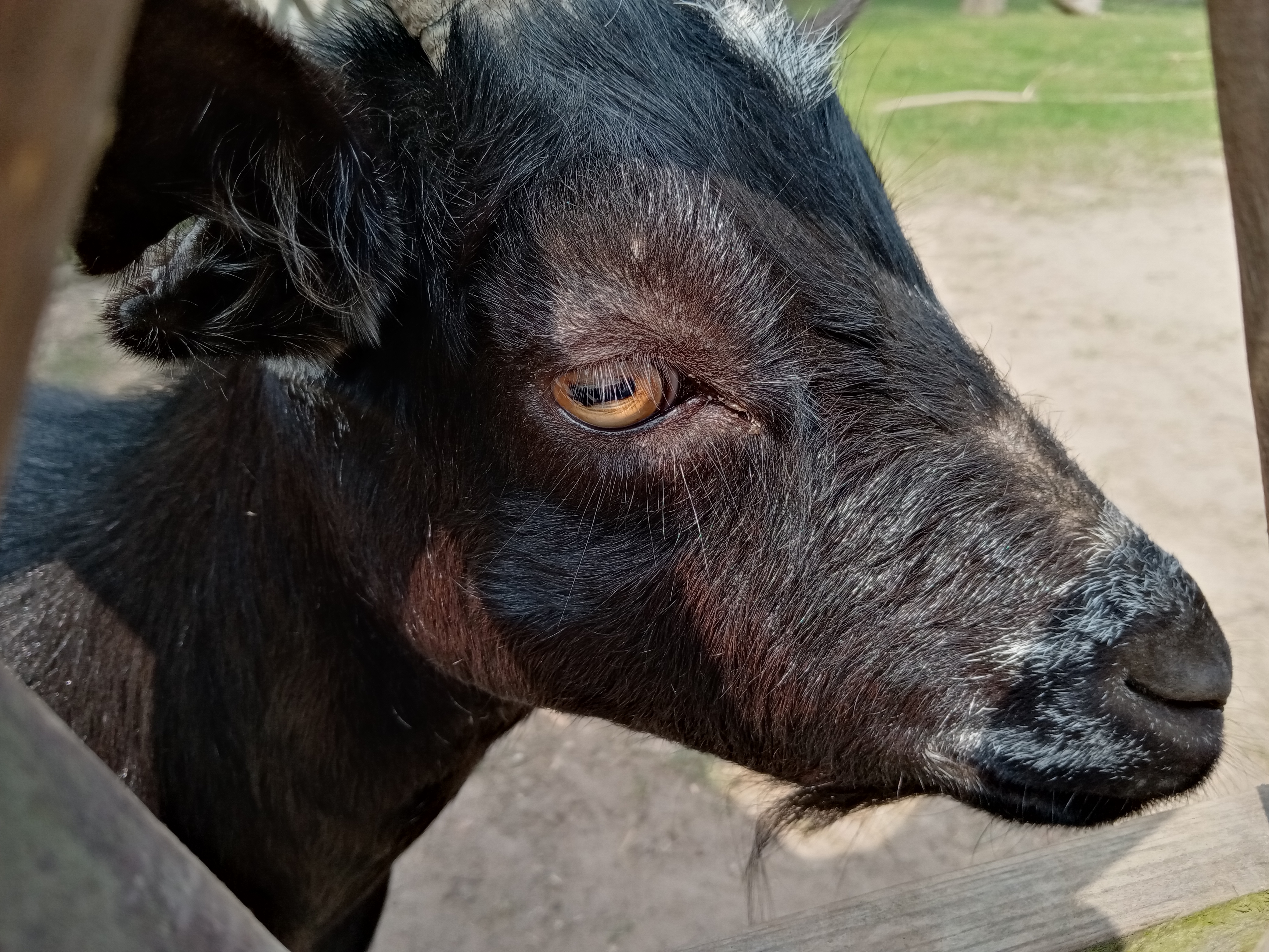 p-styletext-align-centerstrongHi-therenbspstrongpp-styletext-align