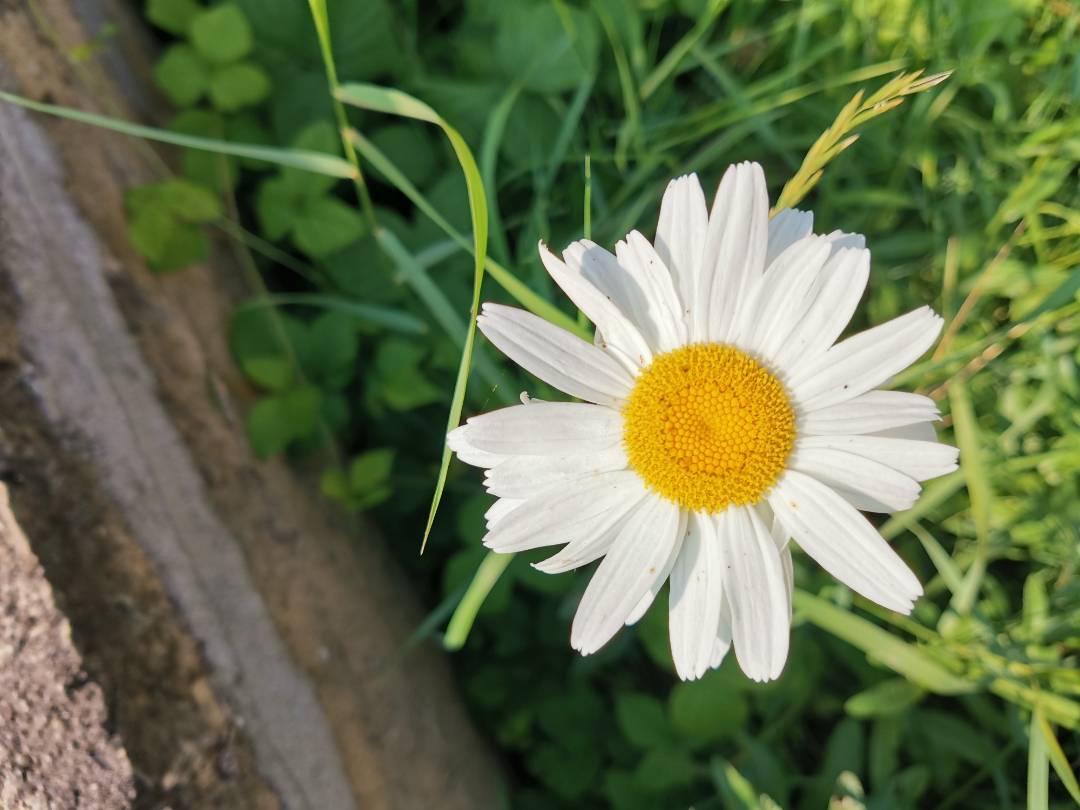 pspanHey-HONOR-fansspanppspanbrspanppspanHappy-Wednesday-How-was-your