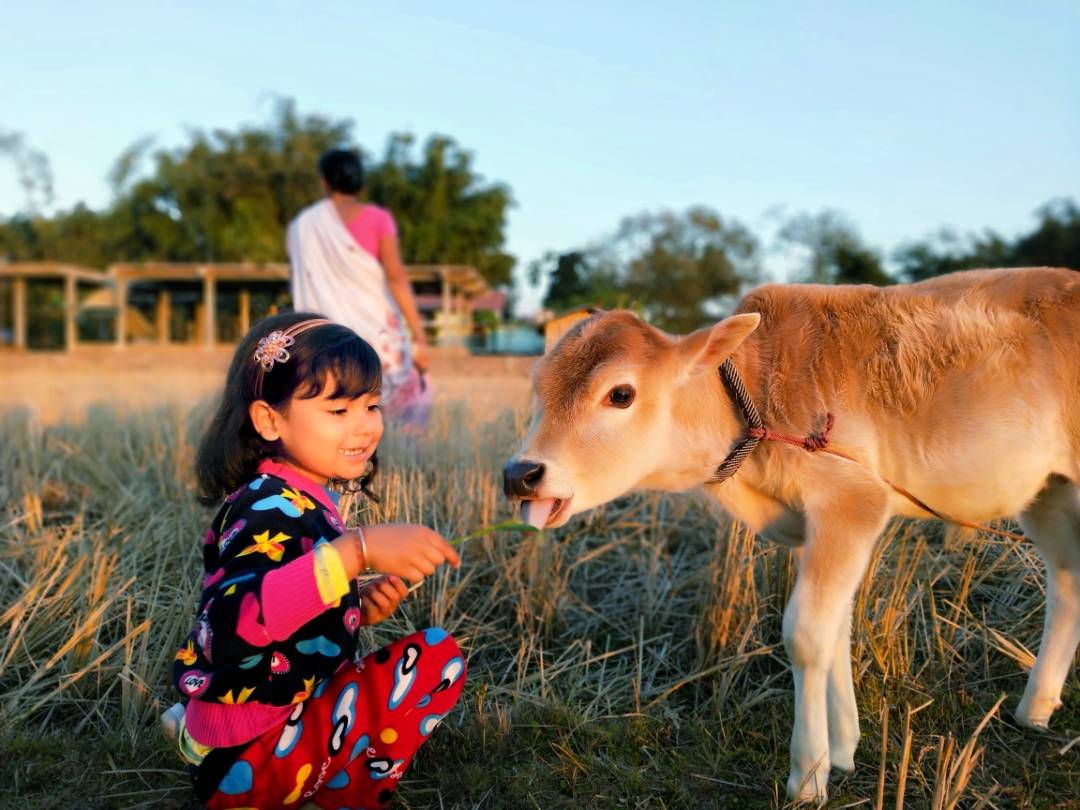 pspanHey-HONOR-fansspanppspanbrspanppspanHappy-Wednesday-How-was-your