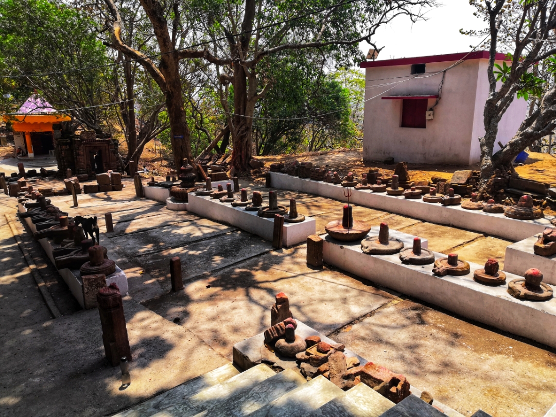 pimg-srchttpsiforum-sgchihonorcomglobalglobaldataimages2021814a41077dc