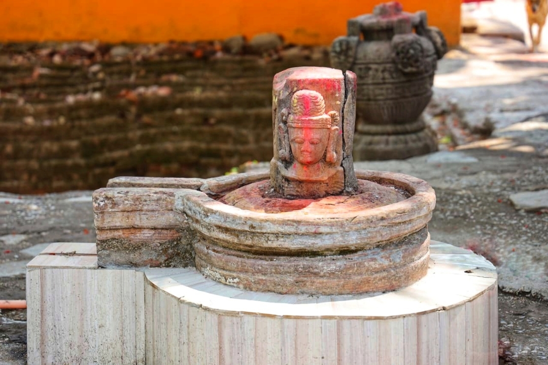 pimg-srchttpsiforum-sgchihonorcomglobalglobaldataimages2021814a41077dc