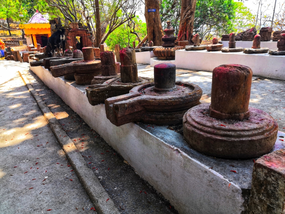 pimg-srchttpsiforum-sgchihonorcomglobalglobaldataimages2021814a41077dc