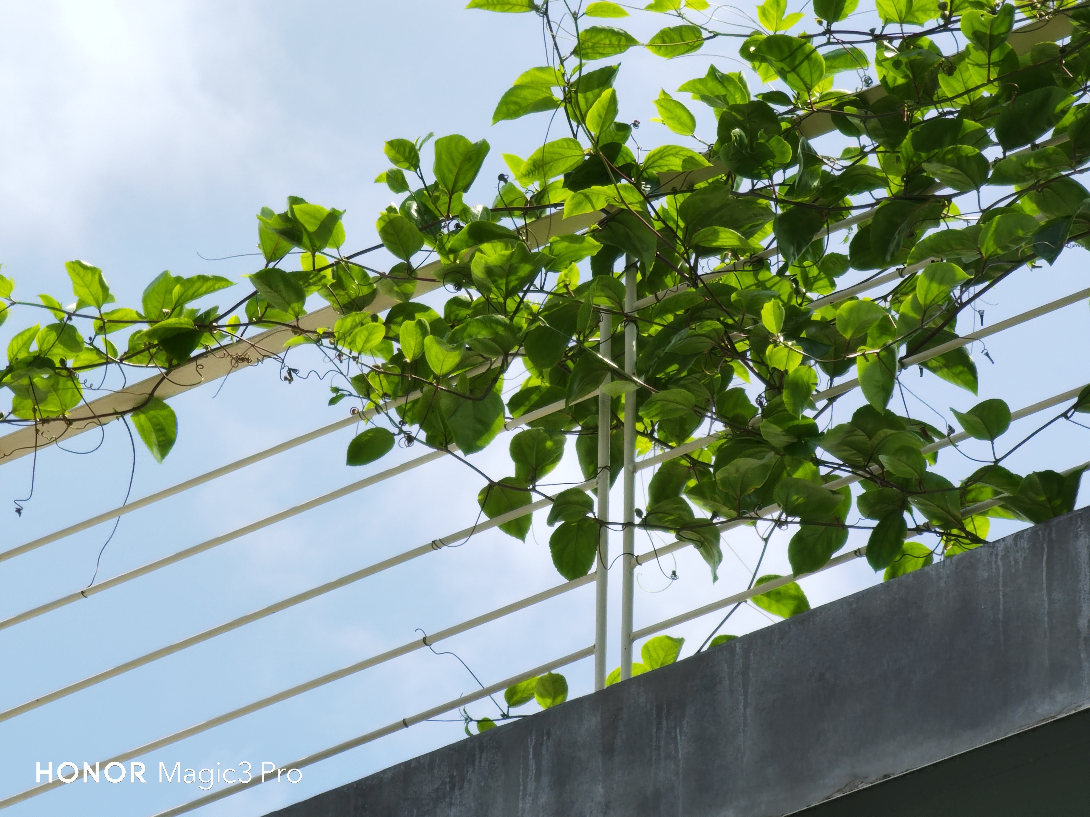 pHey-there-HONOR-fans-nbspppToday-want-to-share-with-you-a-review-made