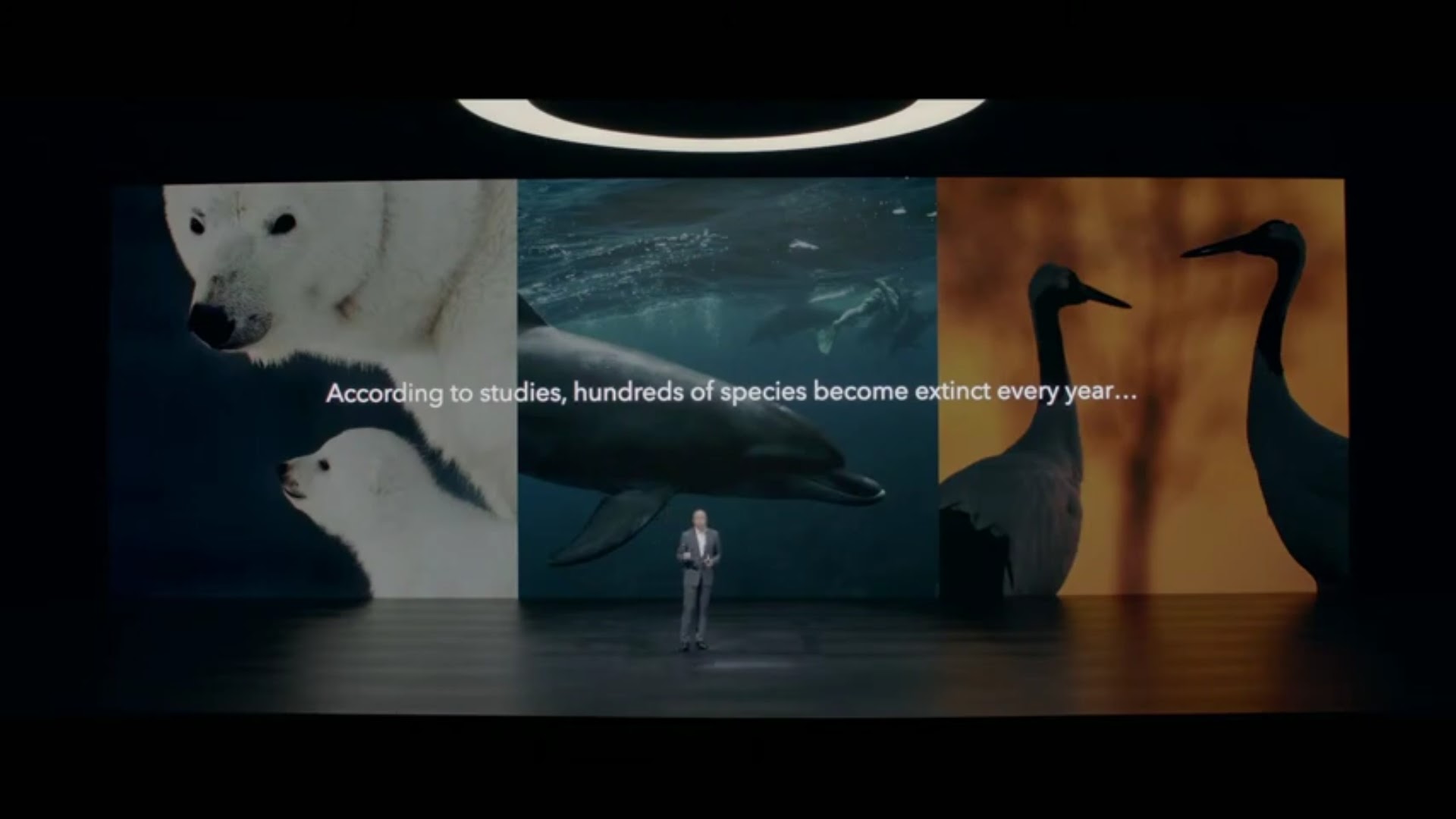 pspan-styleletter-spacing-009pxfont-size18pxHi-everyonespanppspan