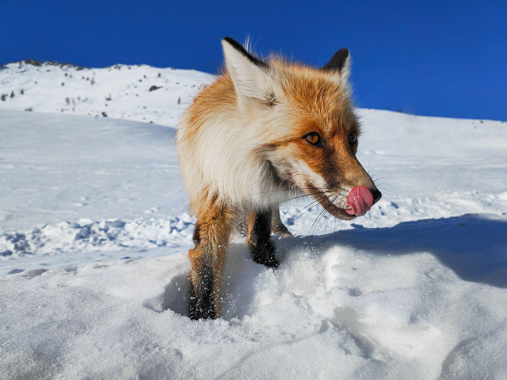 pspan-stylefont-size18pxspan-styleletter-spacing-009pxspanspanHowdy