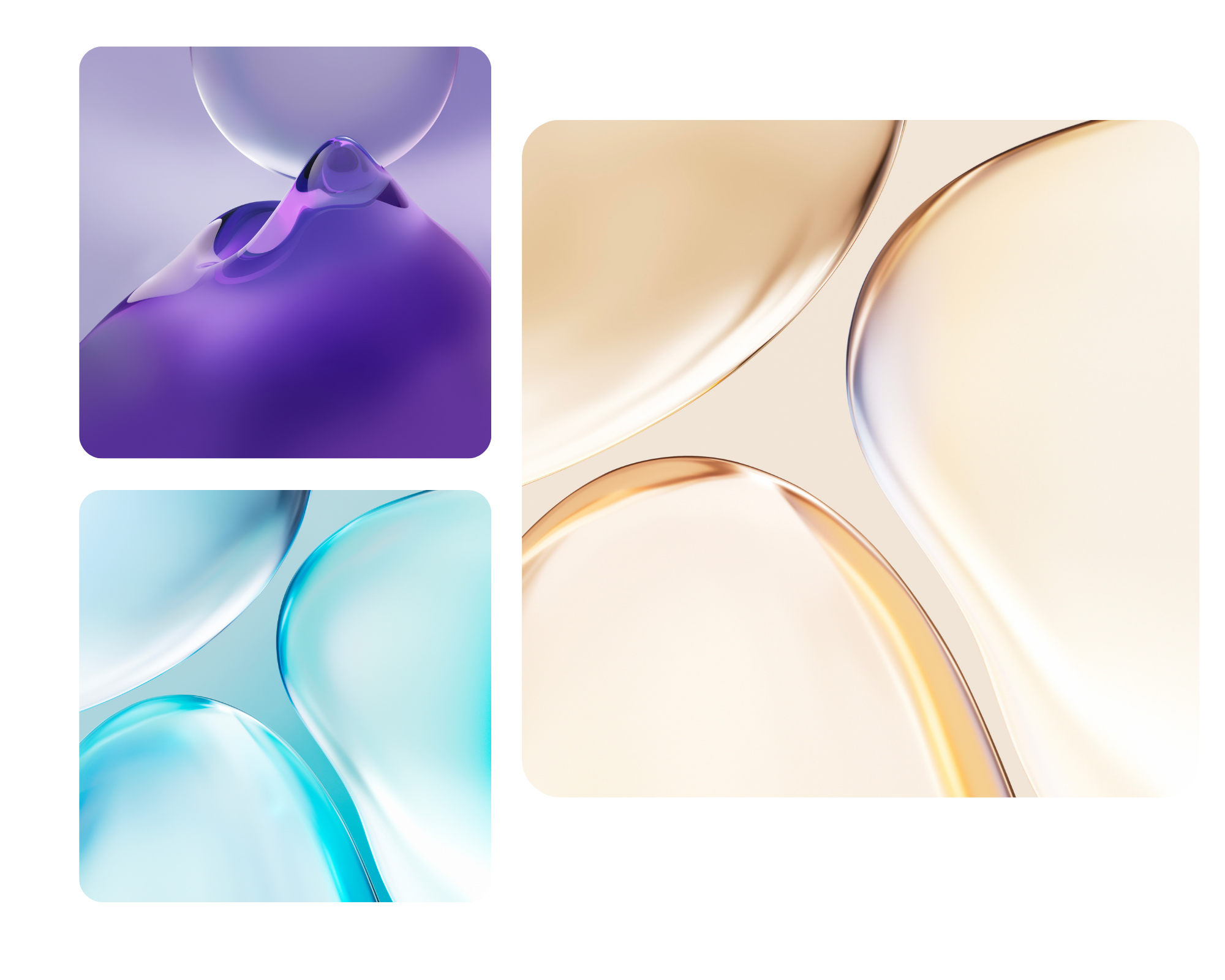 pimg-srchttpsiforum-sgchihonorcomglobalglobaldataimages20221169950aa4c