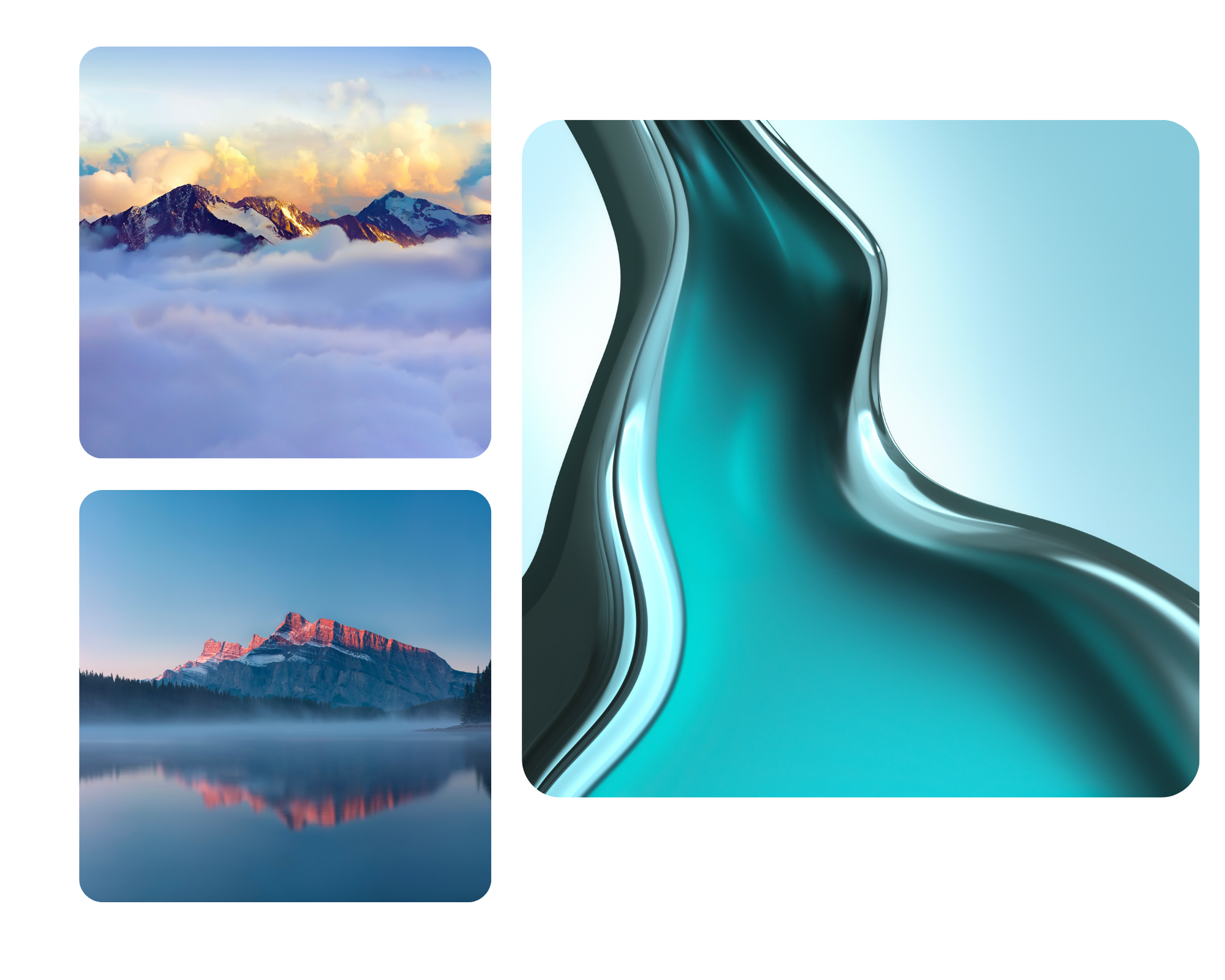 pimg-srchttpsiforum-sgchihonorcomglobalglobaldataimages20221169950aa4c