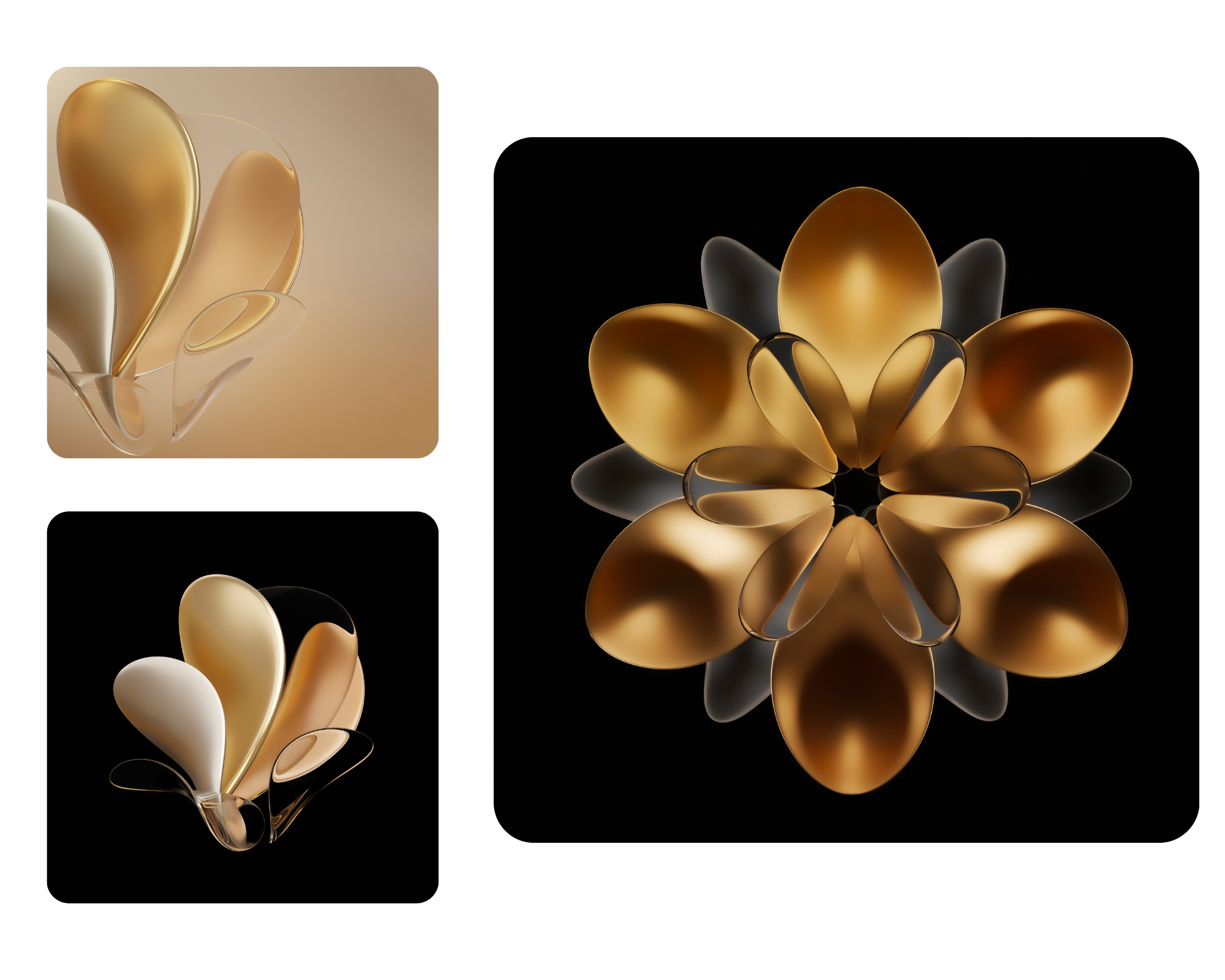 pimg-srchttpsiforum-sgchihonorcomglobalglobaldataimages20221169950aa4c