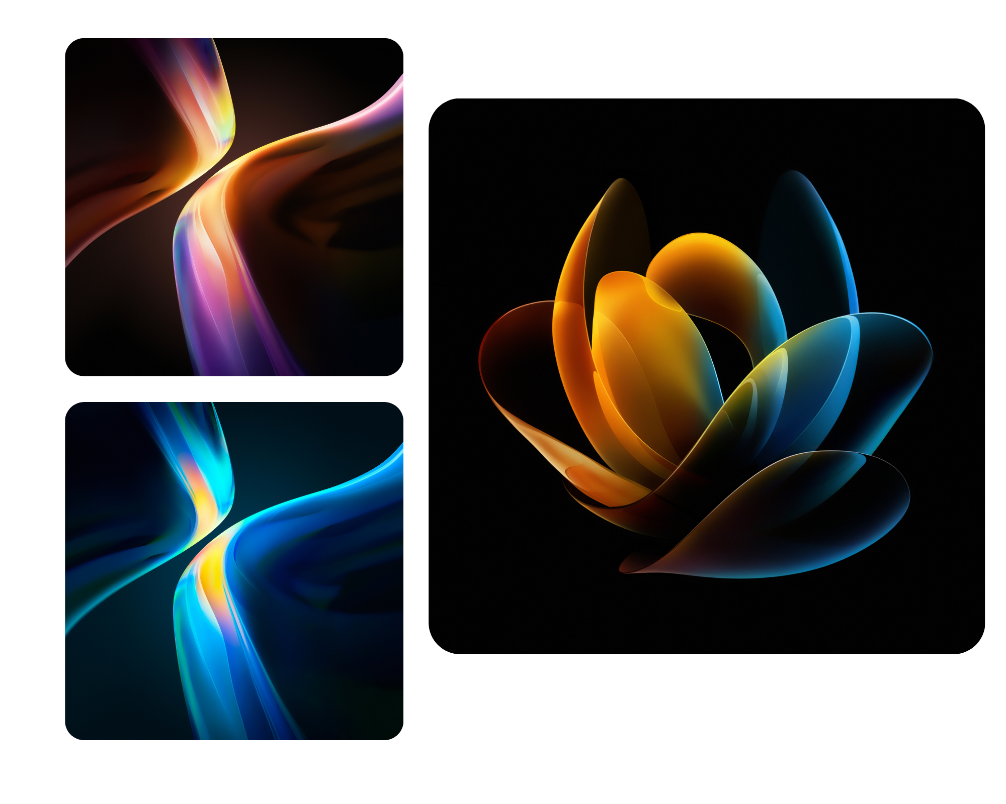 pimg-srchttpsiforum-sgchihonorcomglobalglobaldataimages20221169950aa4c