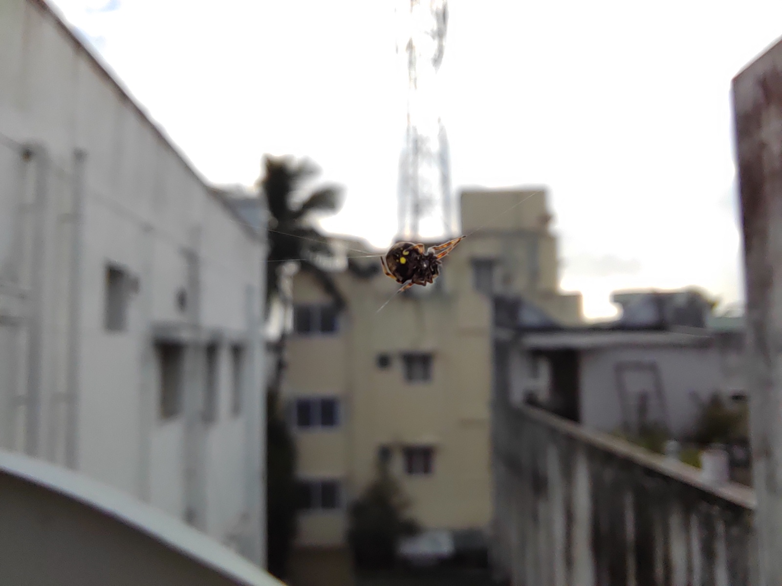 p-styletext-align-center-strongspan-stylecolorrgb000img-srchttpsiforum