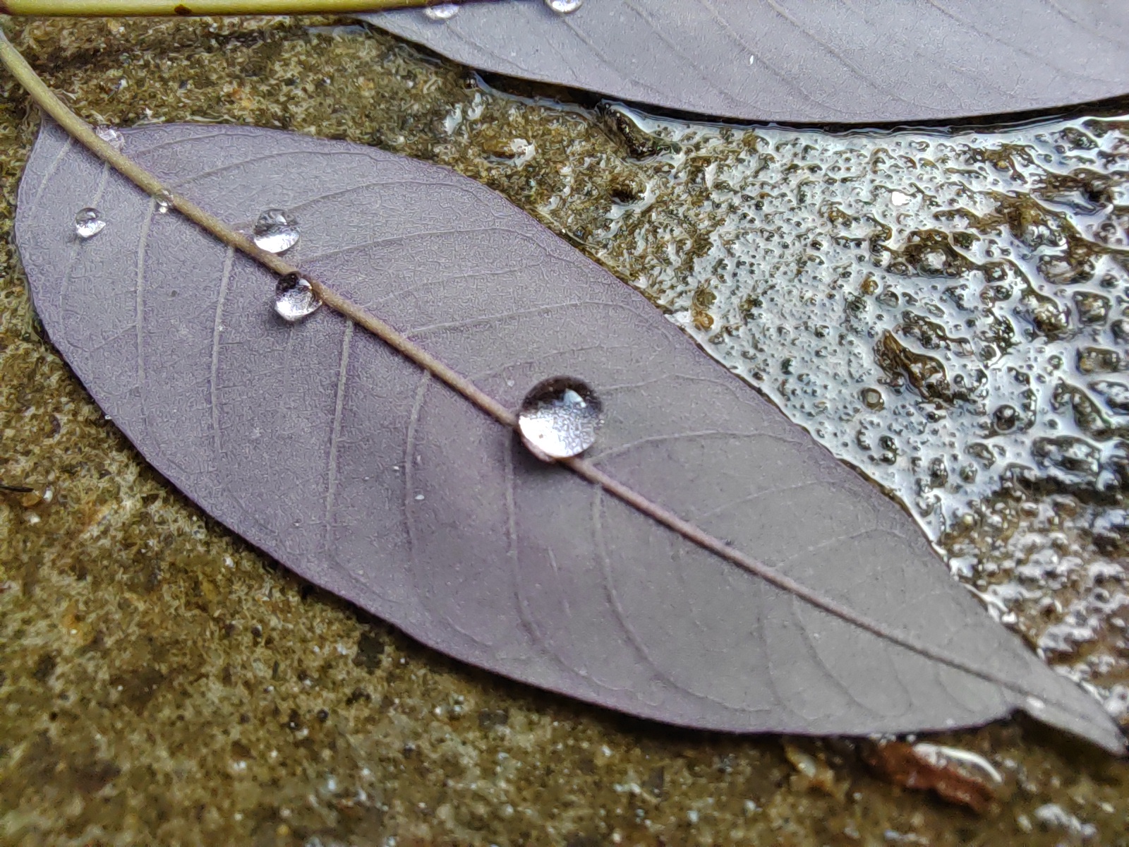 p-styletext-align-center-strongspan-stylecolorrgb000img-srchttpsiforum