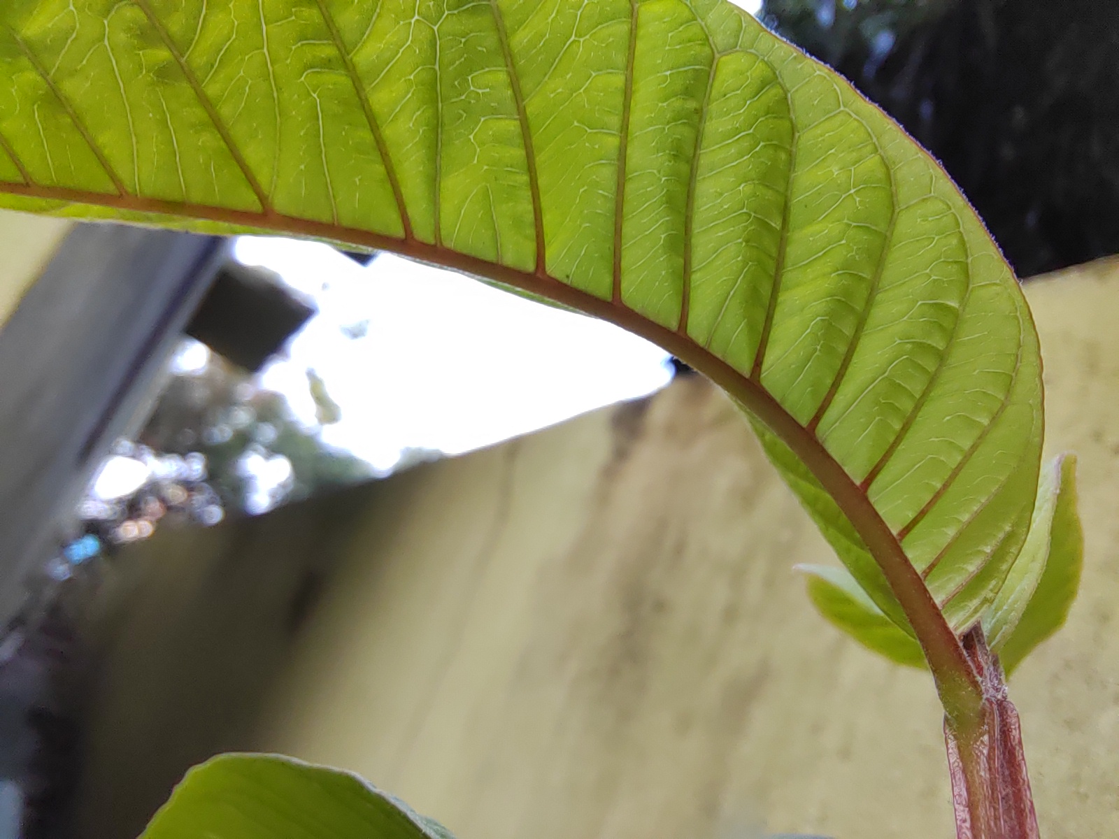 p-styletext-align-center-strongspan-stylecolorrgb000img-srchttpsiforum