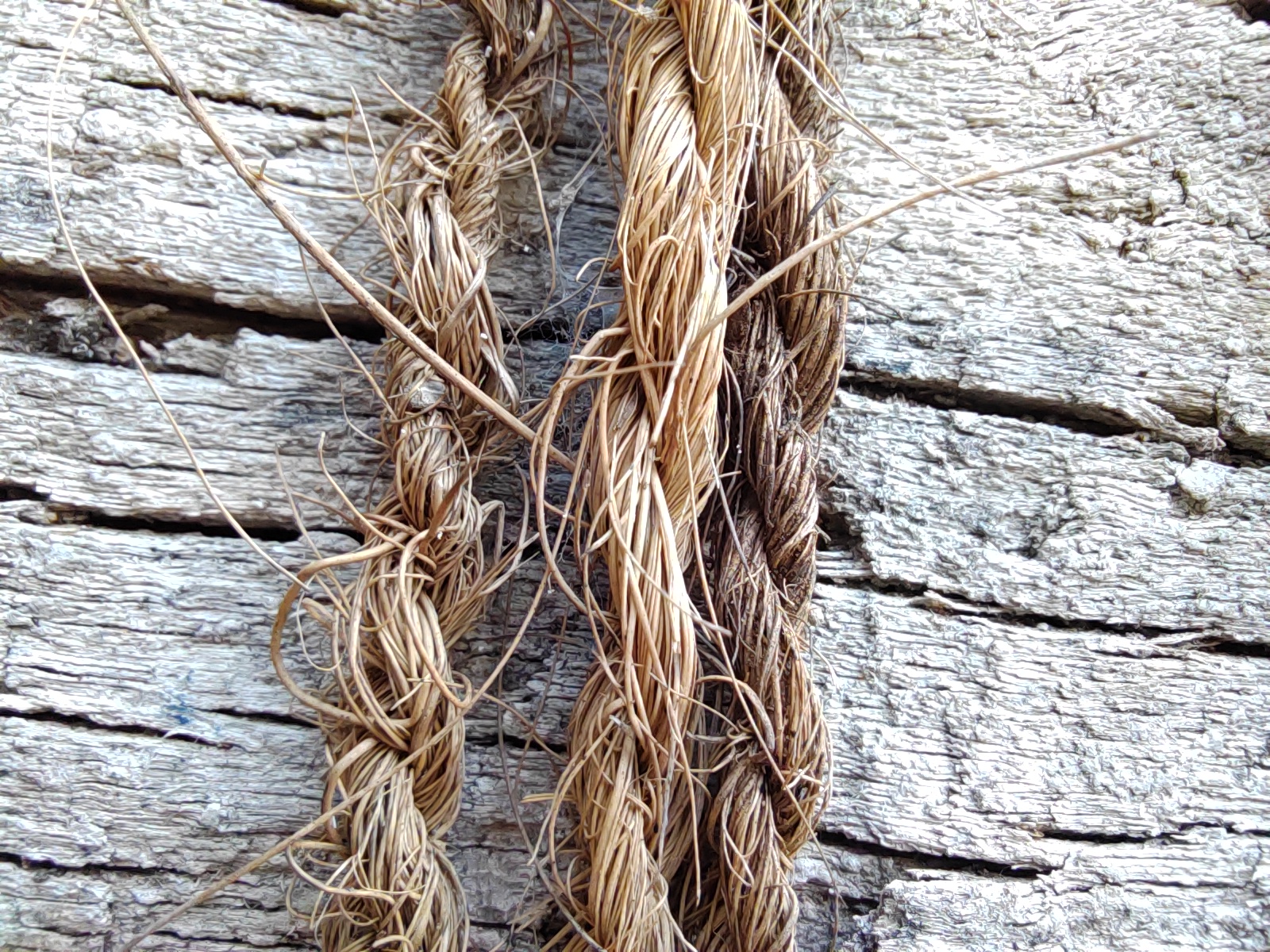 p-styletext-align-center-strongspan-stylecolorrgb000img-srchttpsiforum