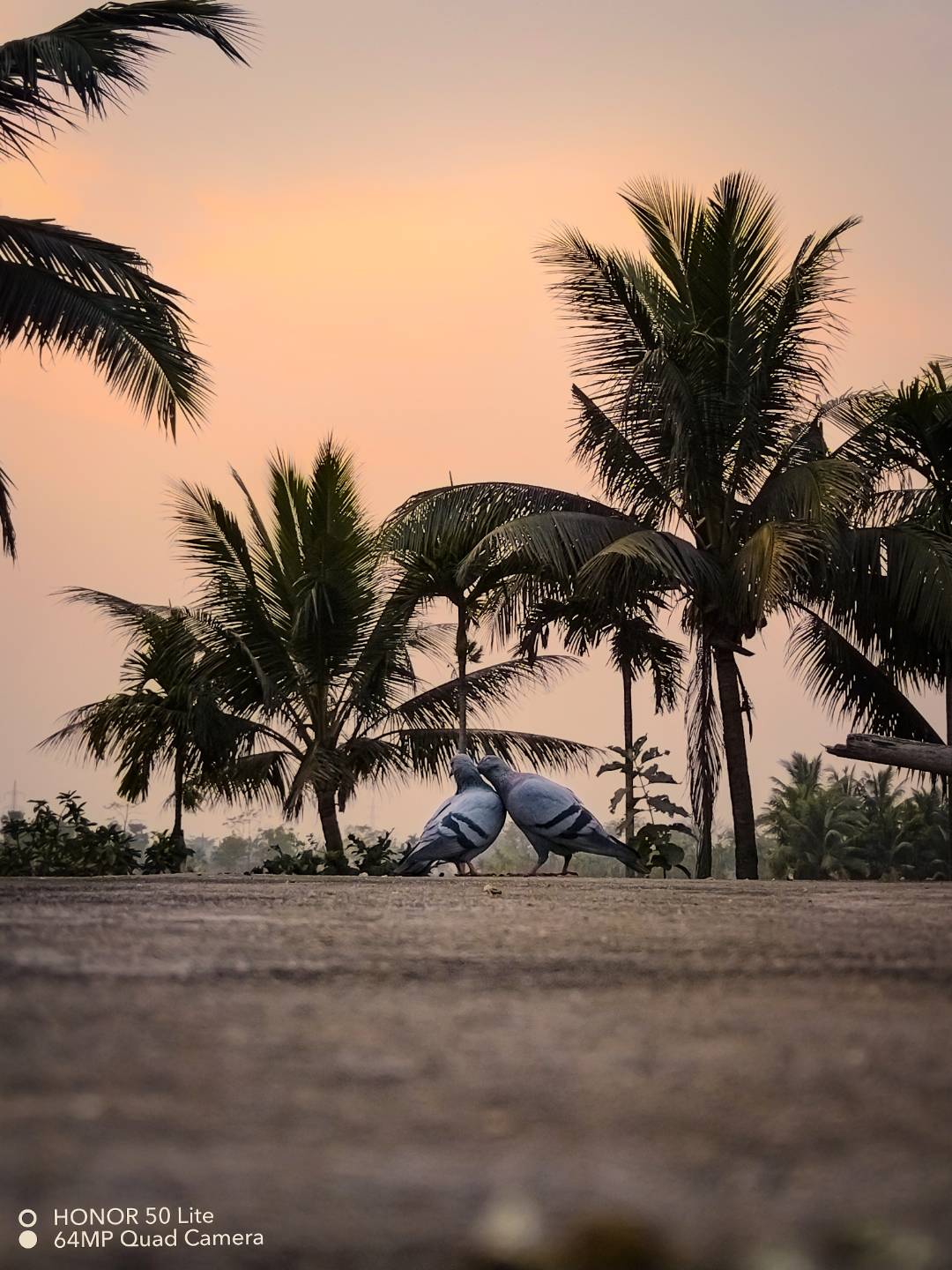 pspan-stylefont-size16pxHey-there-HONOR-Fans-spanppspan-stylefont