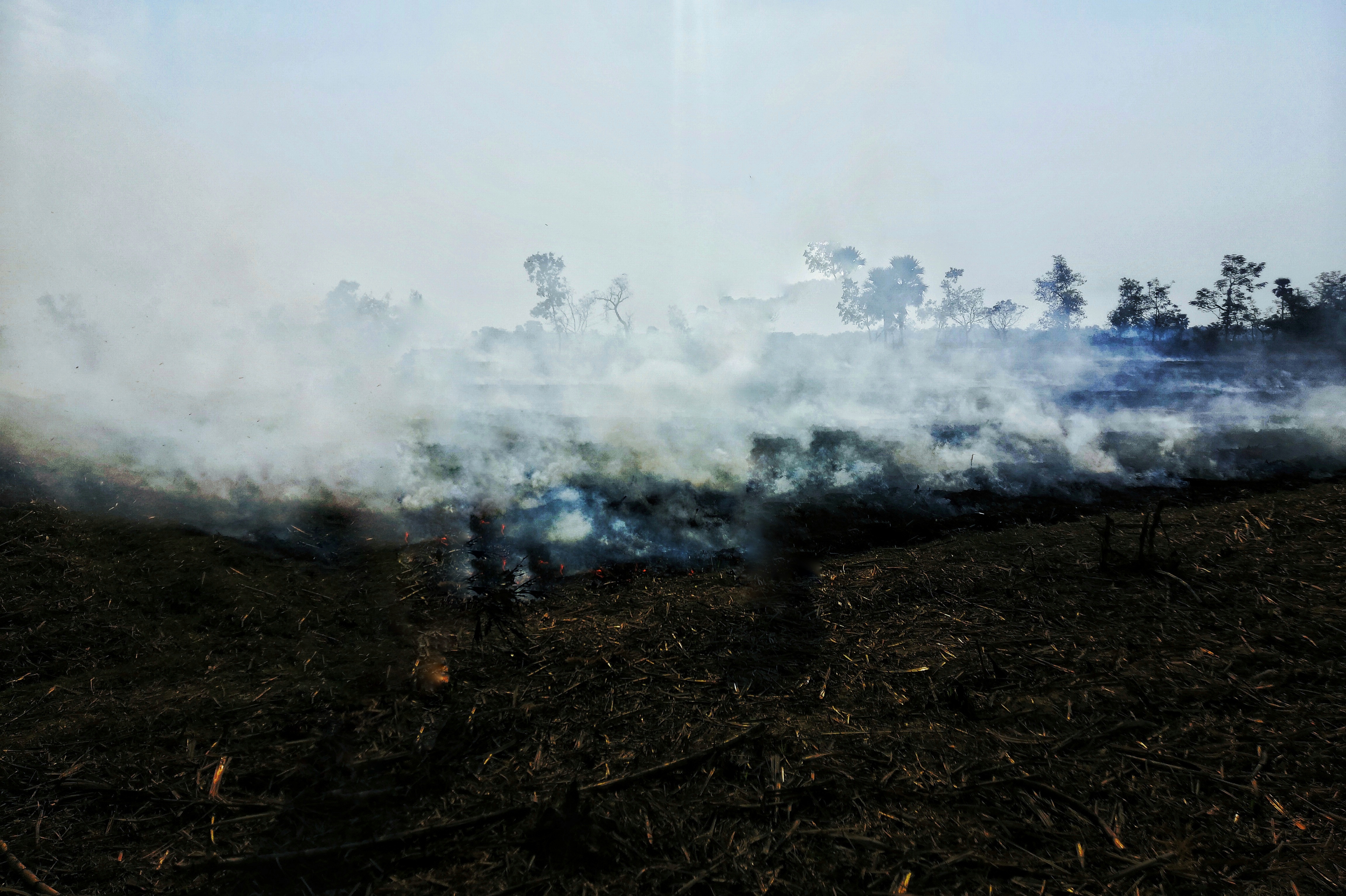 pHey-there-HONOR-fans-hope-you-all-are-finenbspppimg-srchttpsiforum