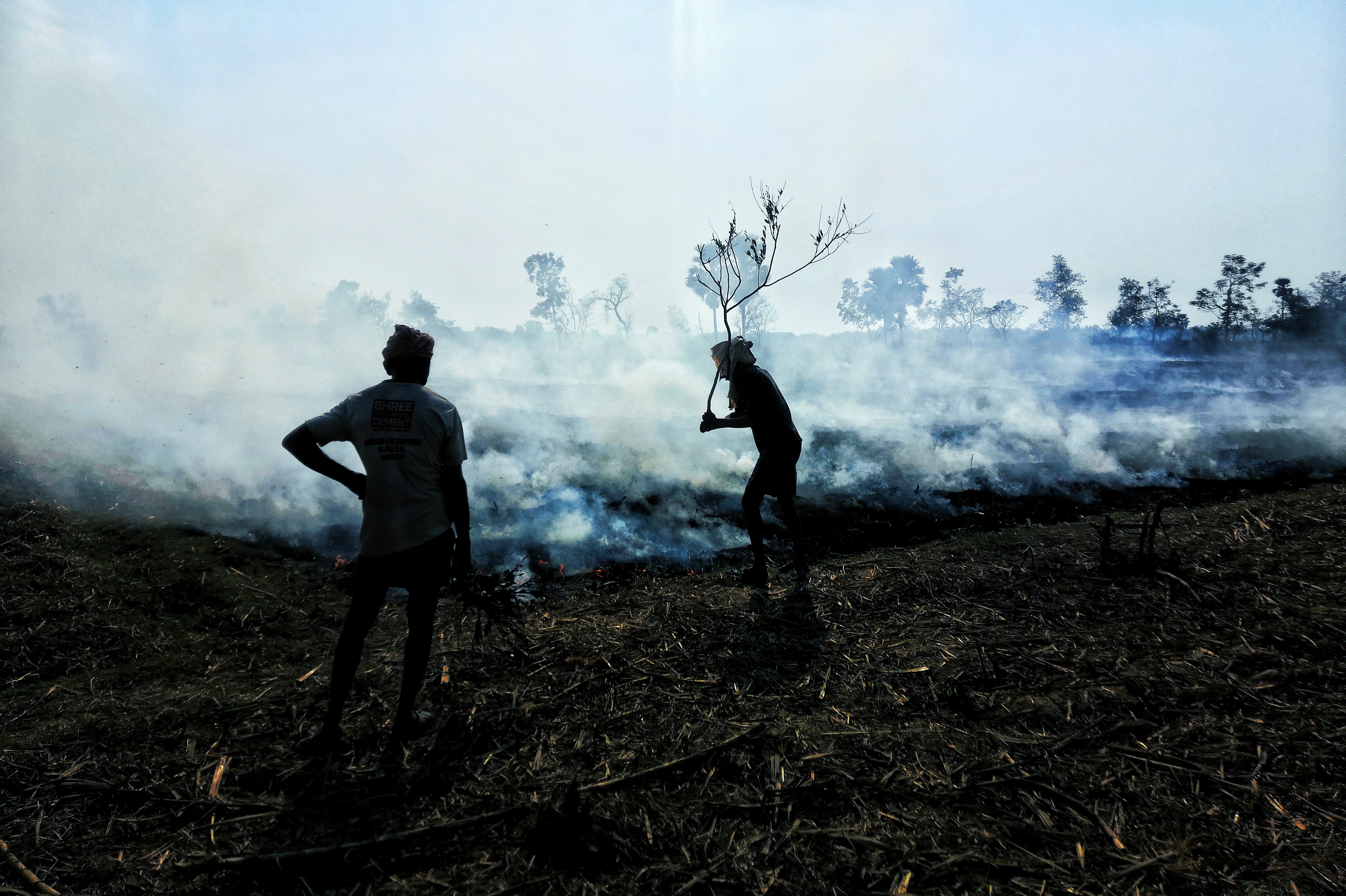 pHey-there-HONOR-fans-hope-you-all-are-finenbspppimg-srchttpsiforum