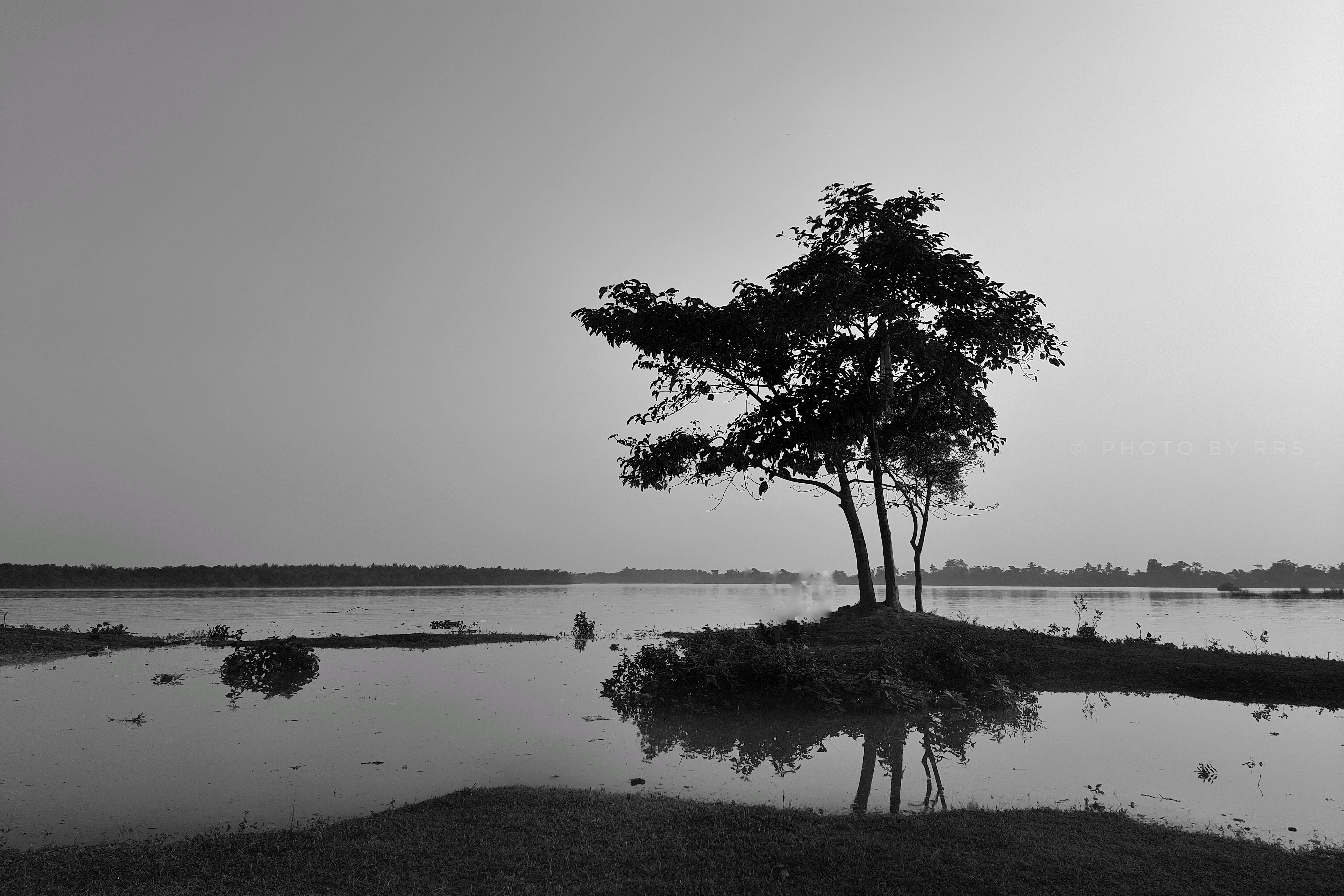 pHey-there-HONOR-fans-hope-you-all-are-finenbspppimg-srchttpsiforum