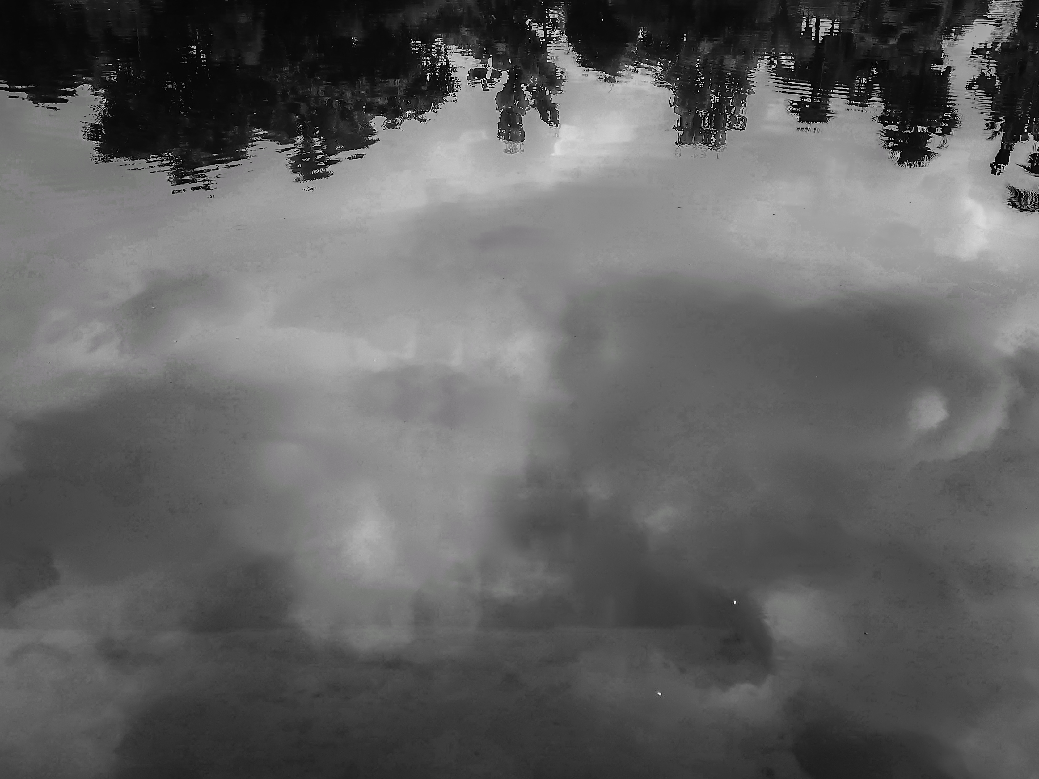 pHey-there-HONOR-fans-hope-you-all-are-finenbspppimg-srchttpsiforum