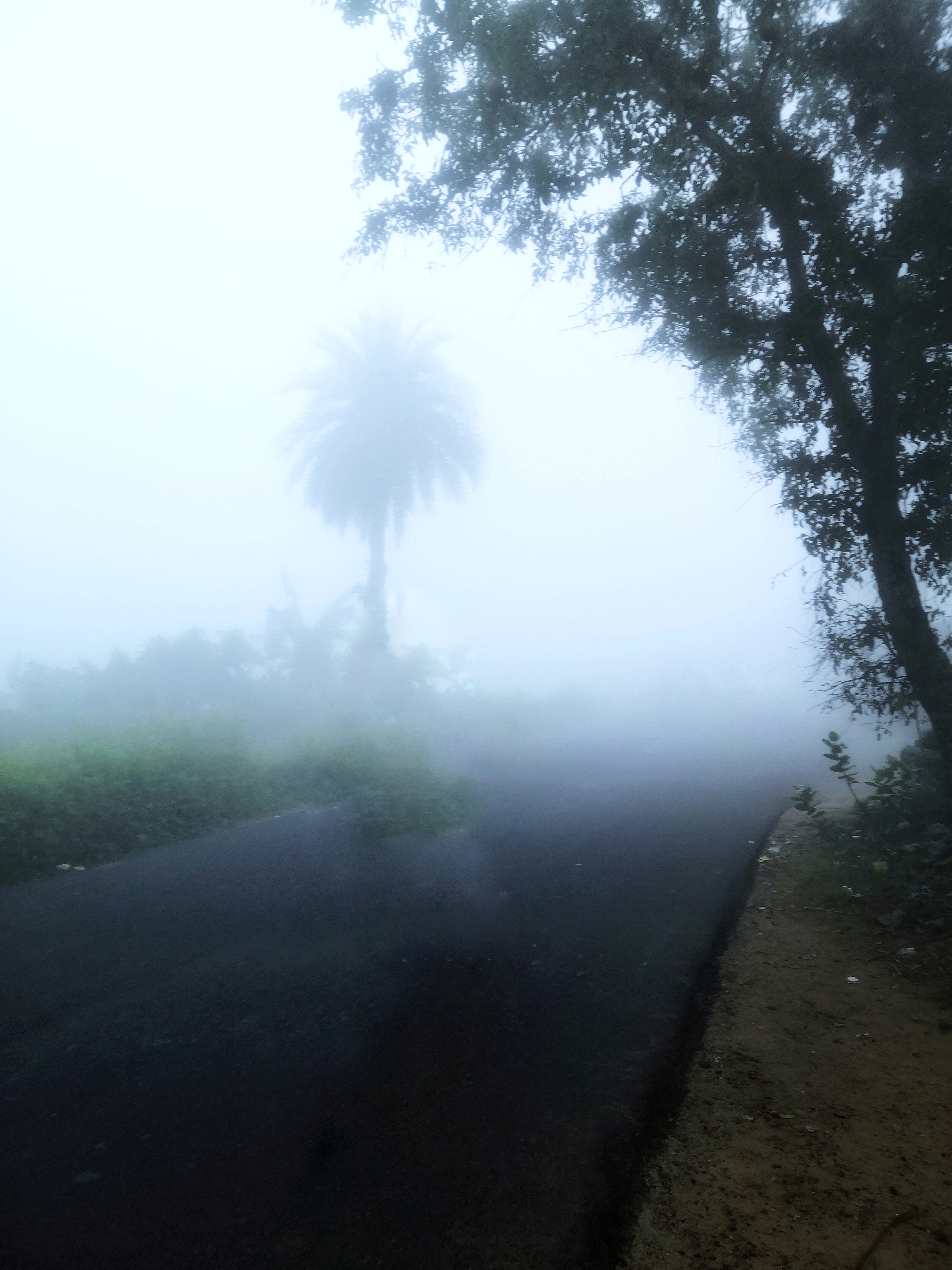 pHey-there-HONOR-fans-hope-you-all-are-finenbspppimg-srchttpsiforum