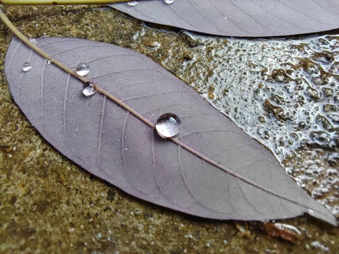 p-styletext-align-center-strongimg-srchttpsiforum