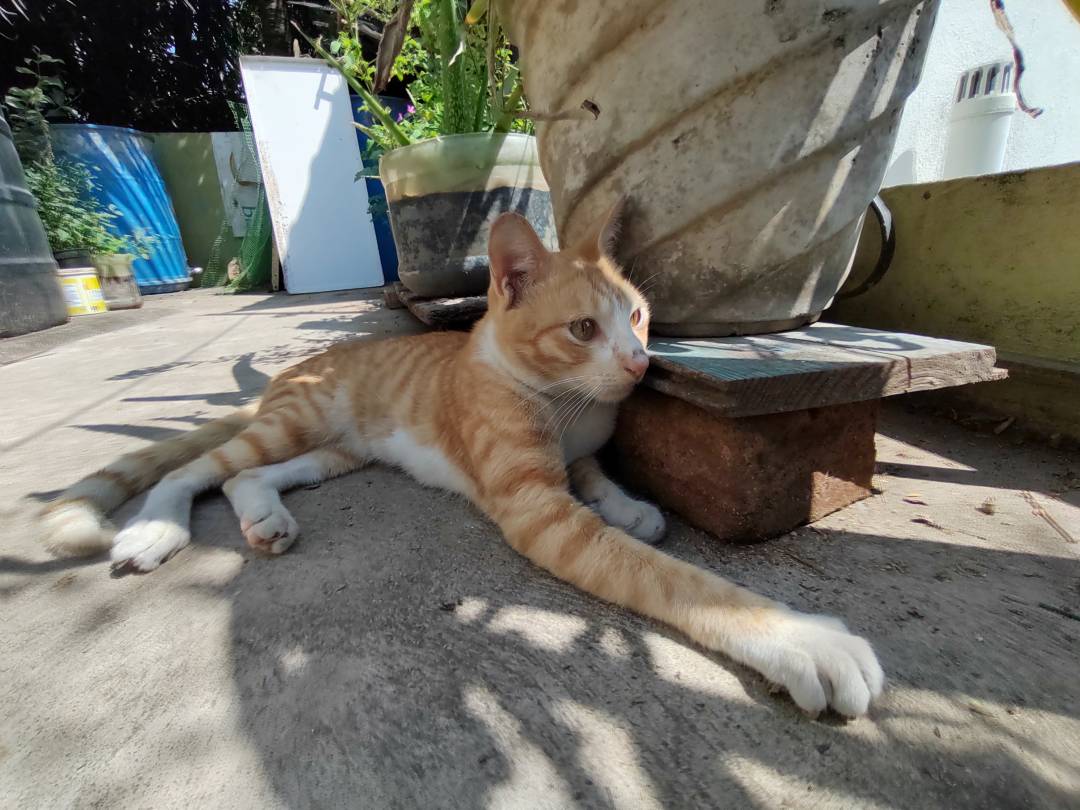 p-styletext-align-center-strongimg-srchttpsiforum