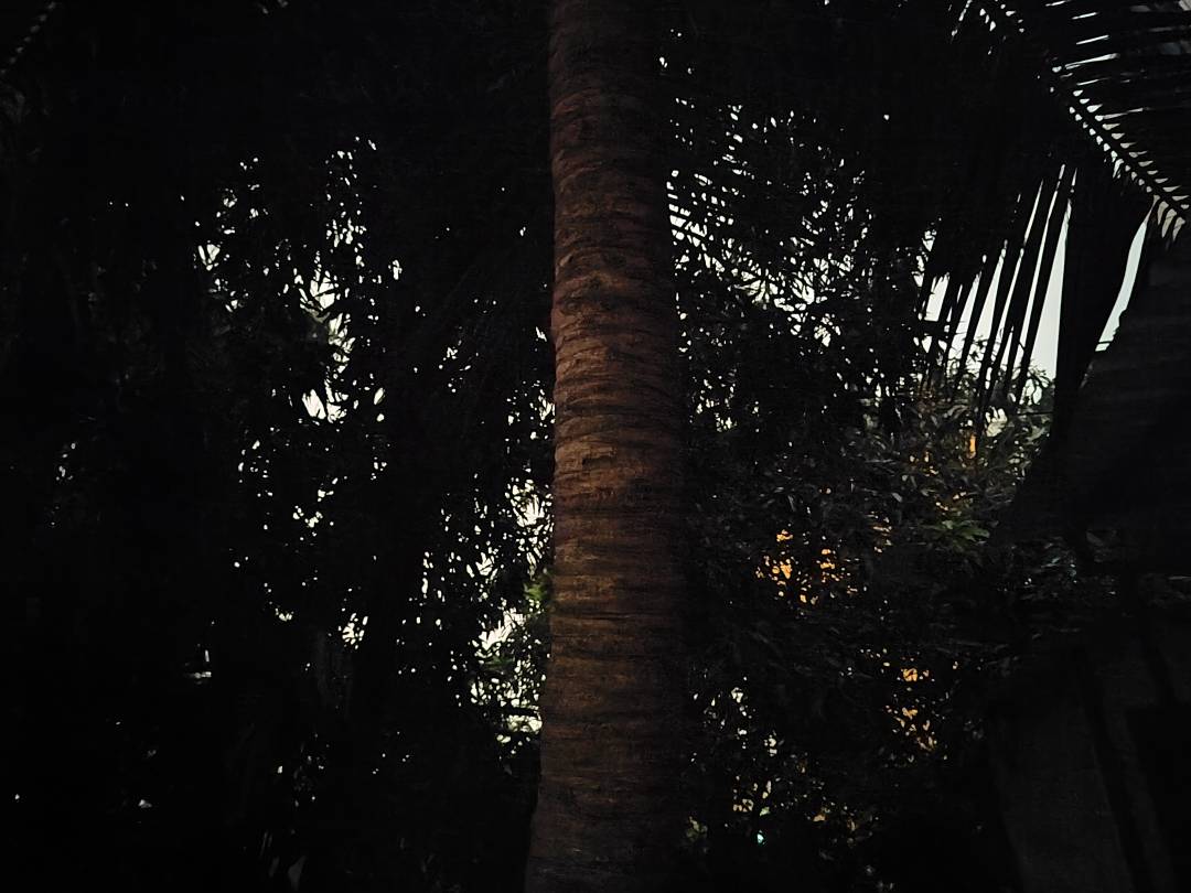 p-styletext-align-center-strongimg-srchttpsiforum