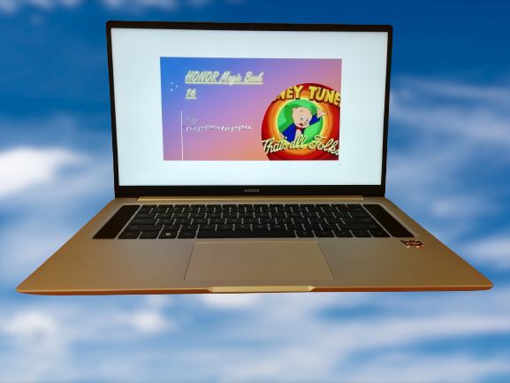 pimg-srchttpsiforum-sgchihonorcomglobalglobaldataimages2022585e2deebc