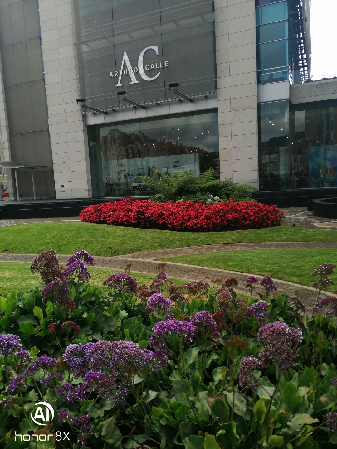 pJardín-de-Arturo-calle-en-la-colina-campestre-ppimg-srchttpsiforum