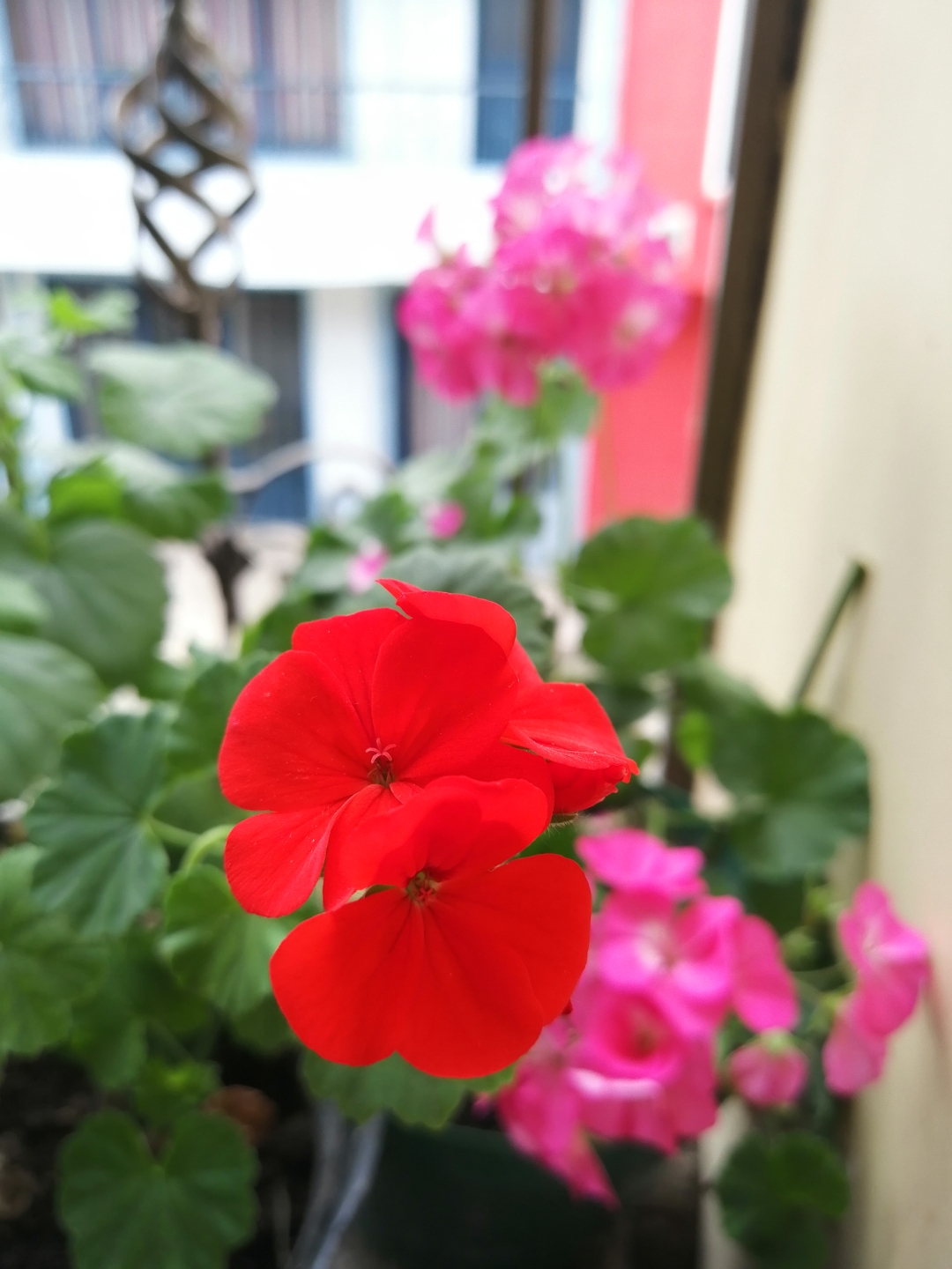 Fotos-tomadas-con-el-Honor-8X-Quedan-mágicas