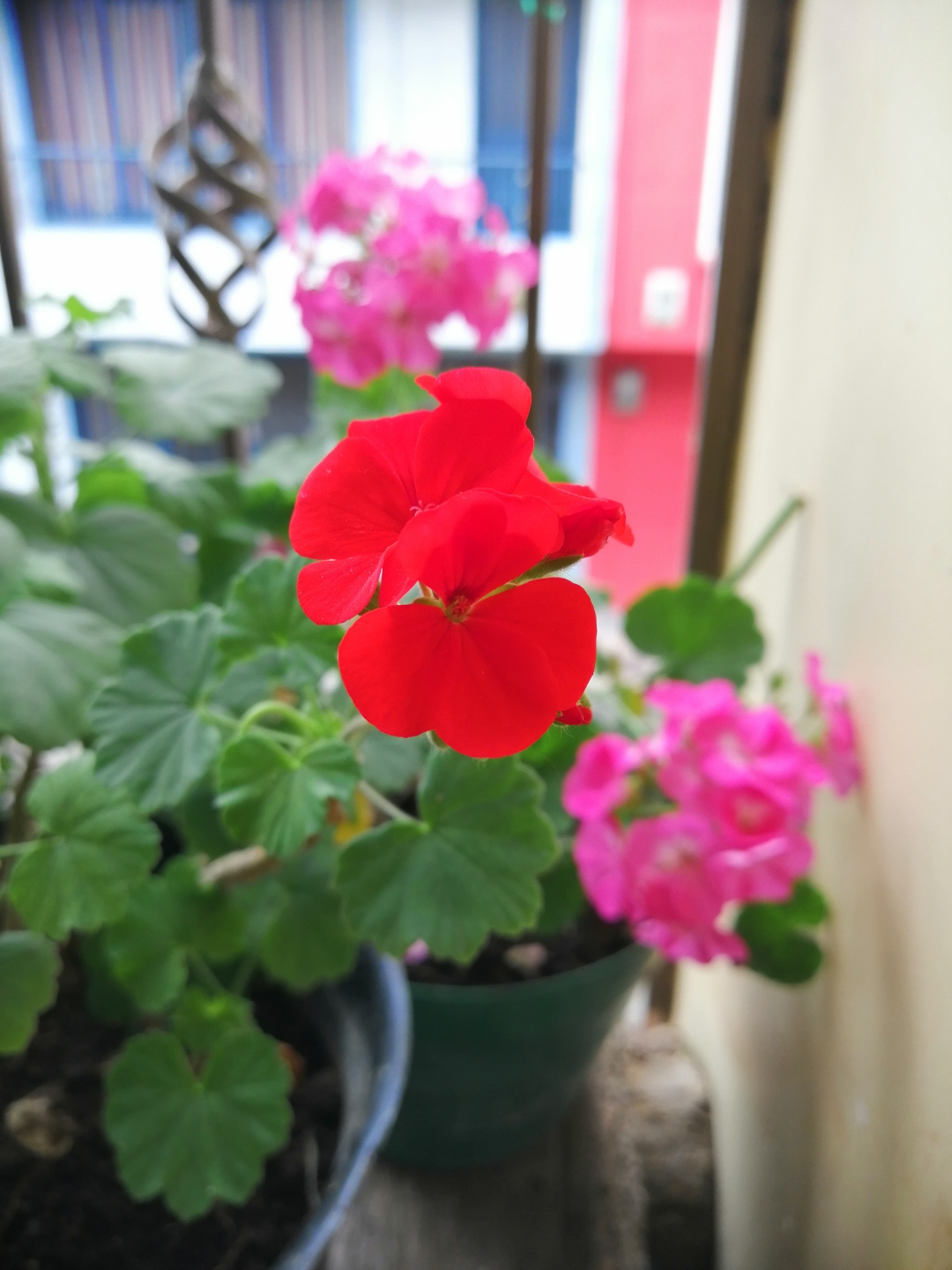 Fotos-tomadas-con-el-Honor-8X-Quedan-mágicas