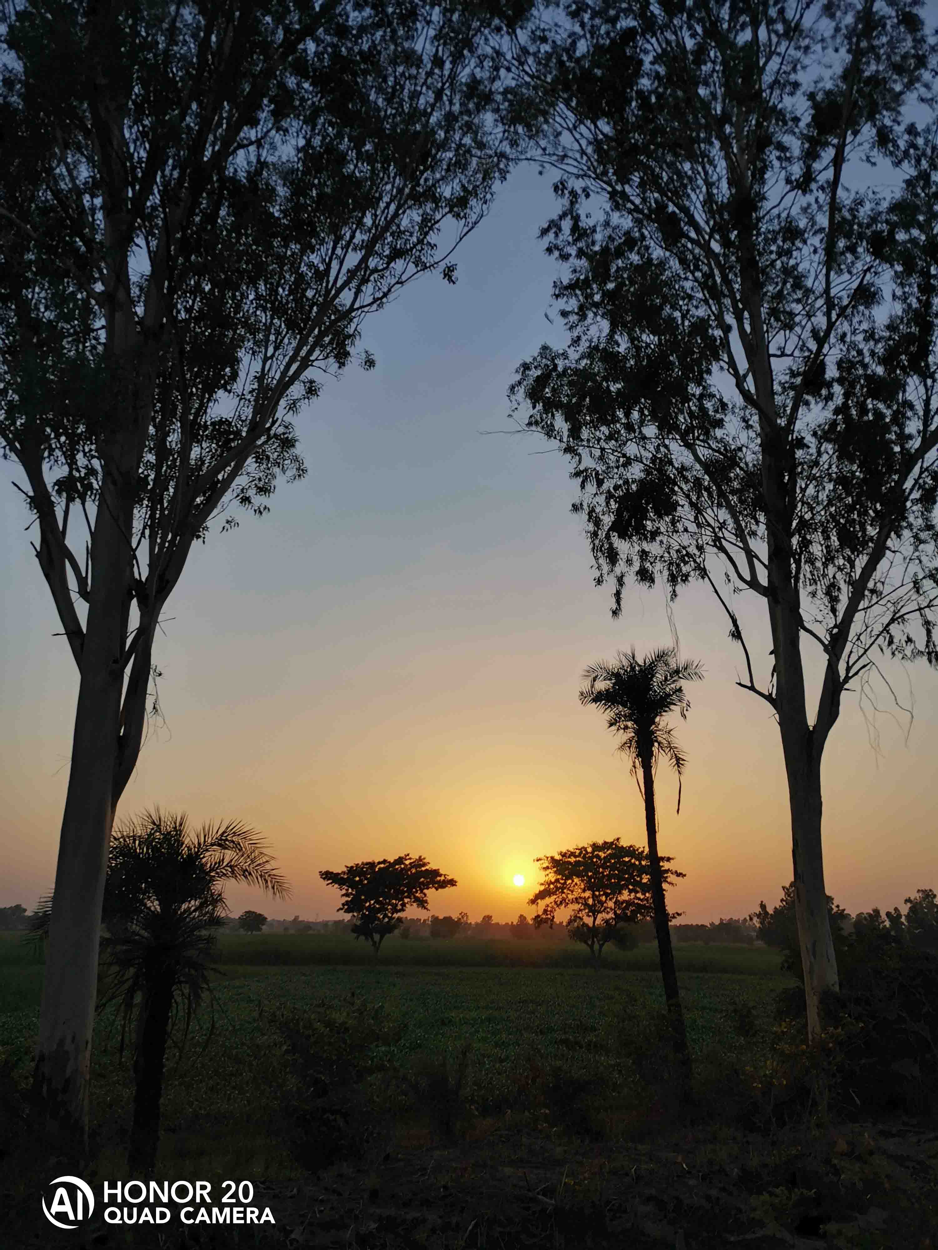 Fotografía-Belleza-de-la-naturaleza-capturada-por-HONOR-20