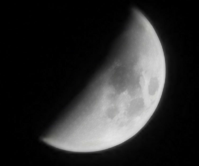 Lente-TOF-de-HONOR-20-PRO--Disfruta-de-un-efecto-bokeh-profesional