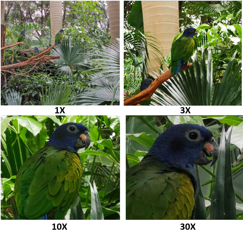 Lente-TOF-de-HONOR-20-PRO--Disfruta-de-un-efecto-bokeh-profesional