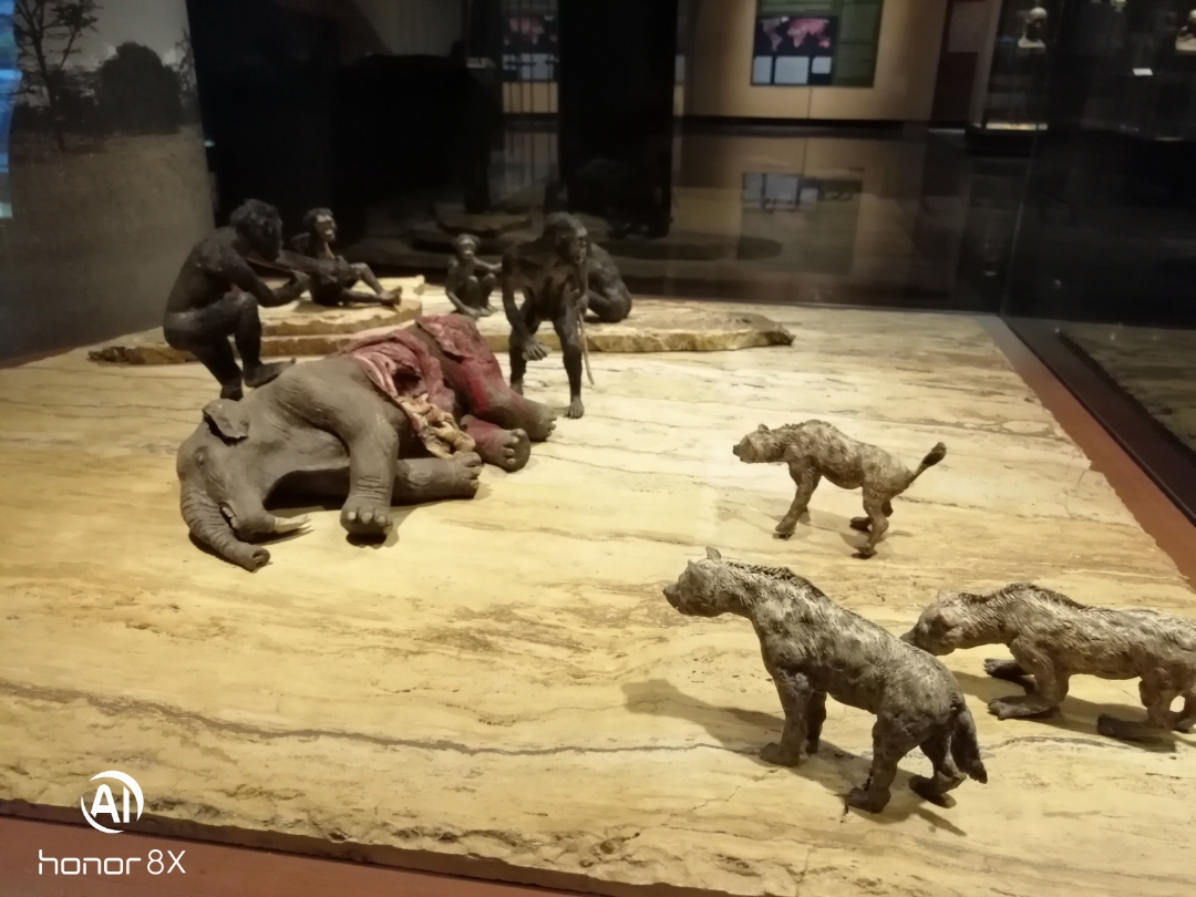Museos-de-la-ciudad-de-México-Museo-de-Antropología
