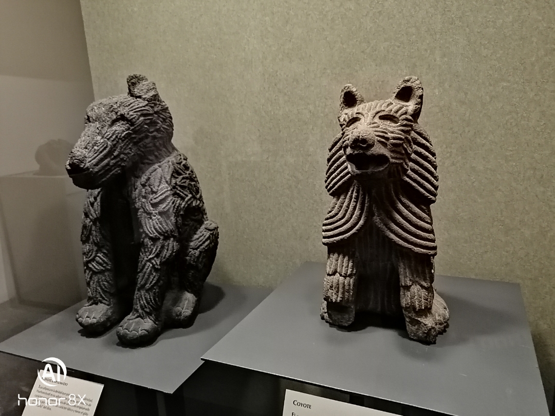 Museos-de-la-ciudad-de-México-Museo-de-Antropología