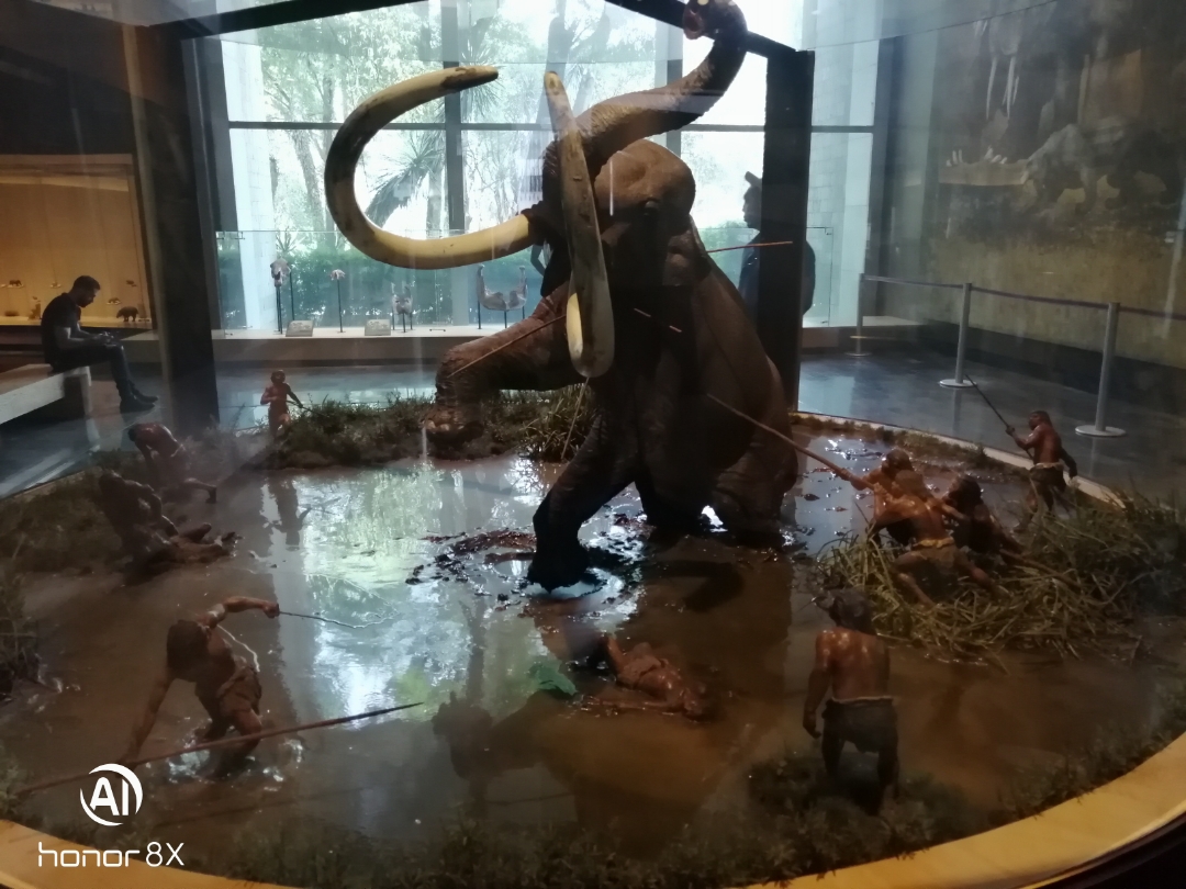 Museos-de-la-ciudad-de-México-Museo-de-Antropología