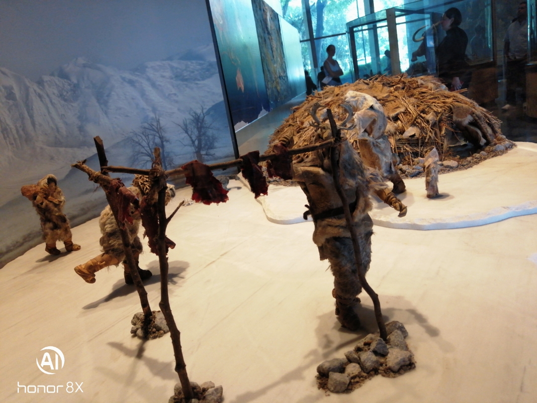 Museos-de-la-ciudad-de-México-Museo-de-Antropología