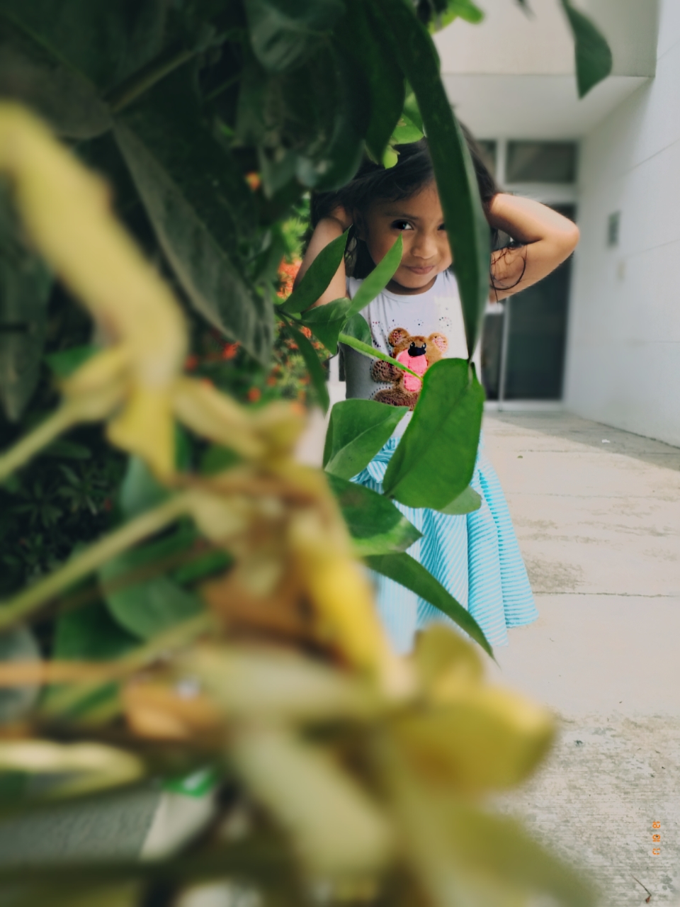 HONOR8X-PHOTO-PROFECIONAL-EDITION