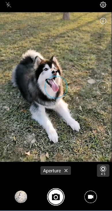 TUTORIAL-Como-sacar-fotos-con-fondo-borroso