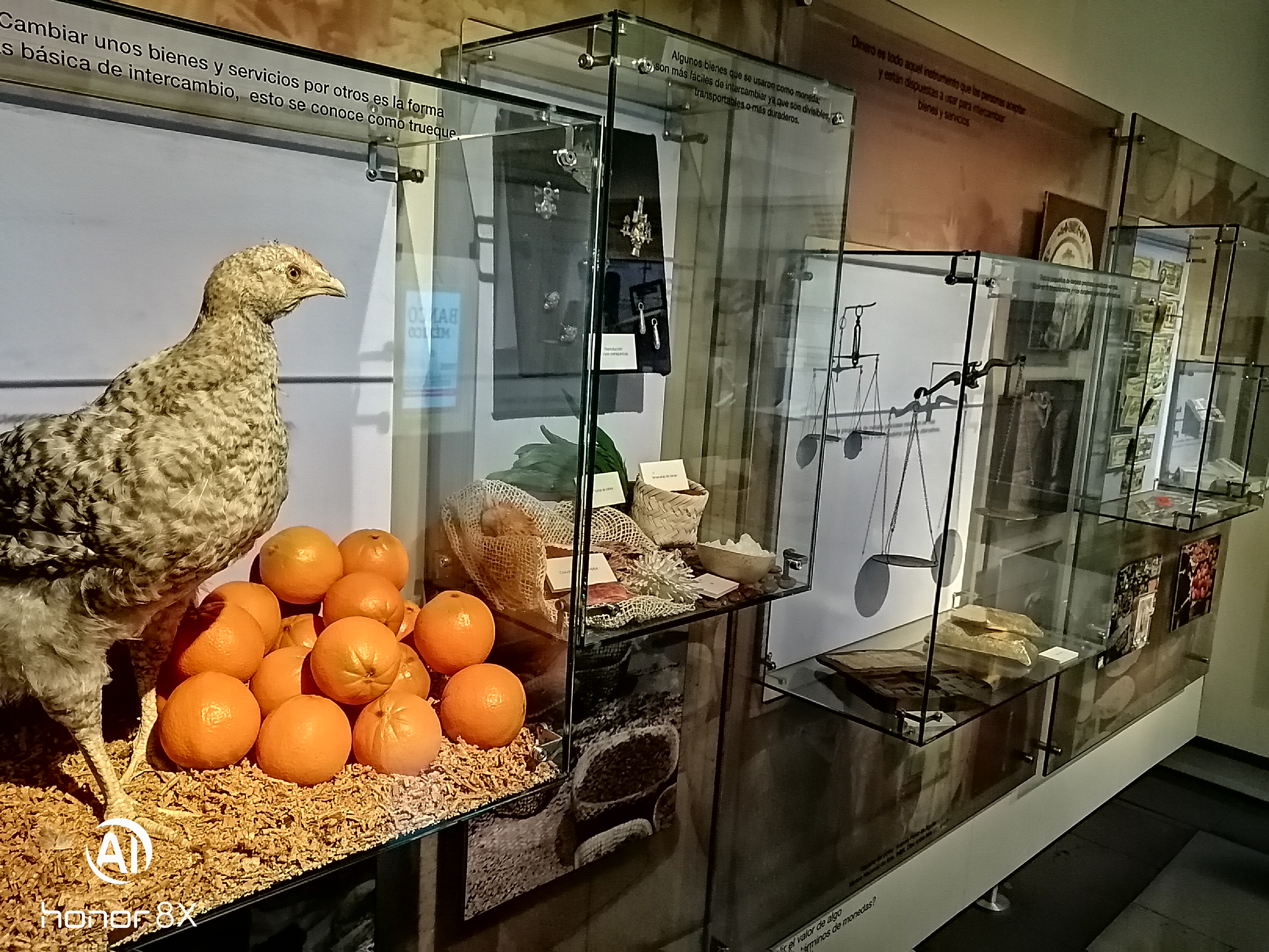 Museos-De-La-Ciudad-De-Mexico-Museo-Interactivo-De-Economia-MIDE