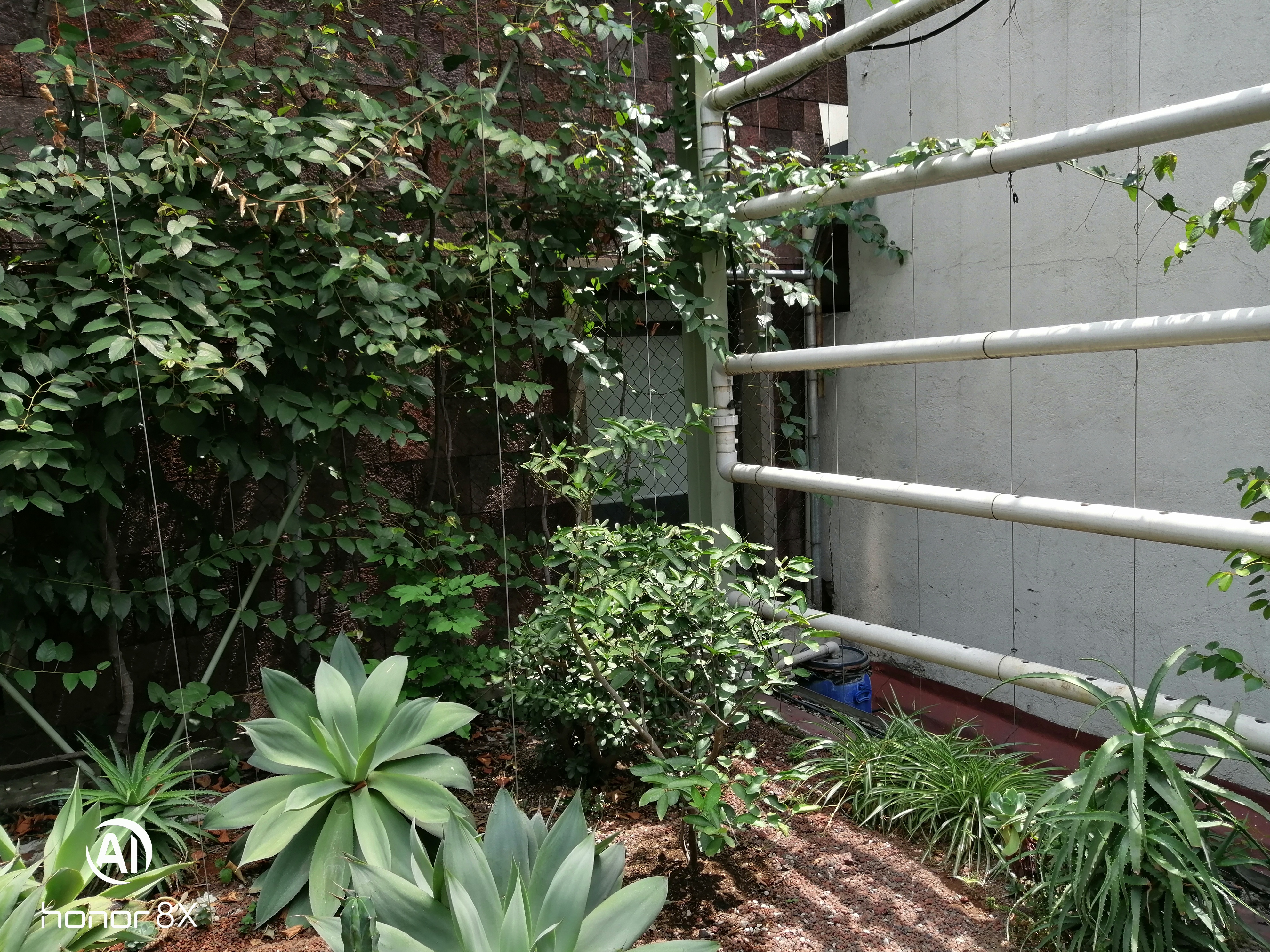 Museos-De-La-Ciudad-De-Mexico-Museo-Interactivo-De-Economia-MIDE