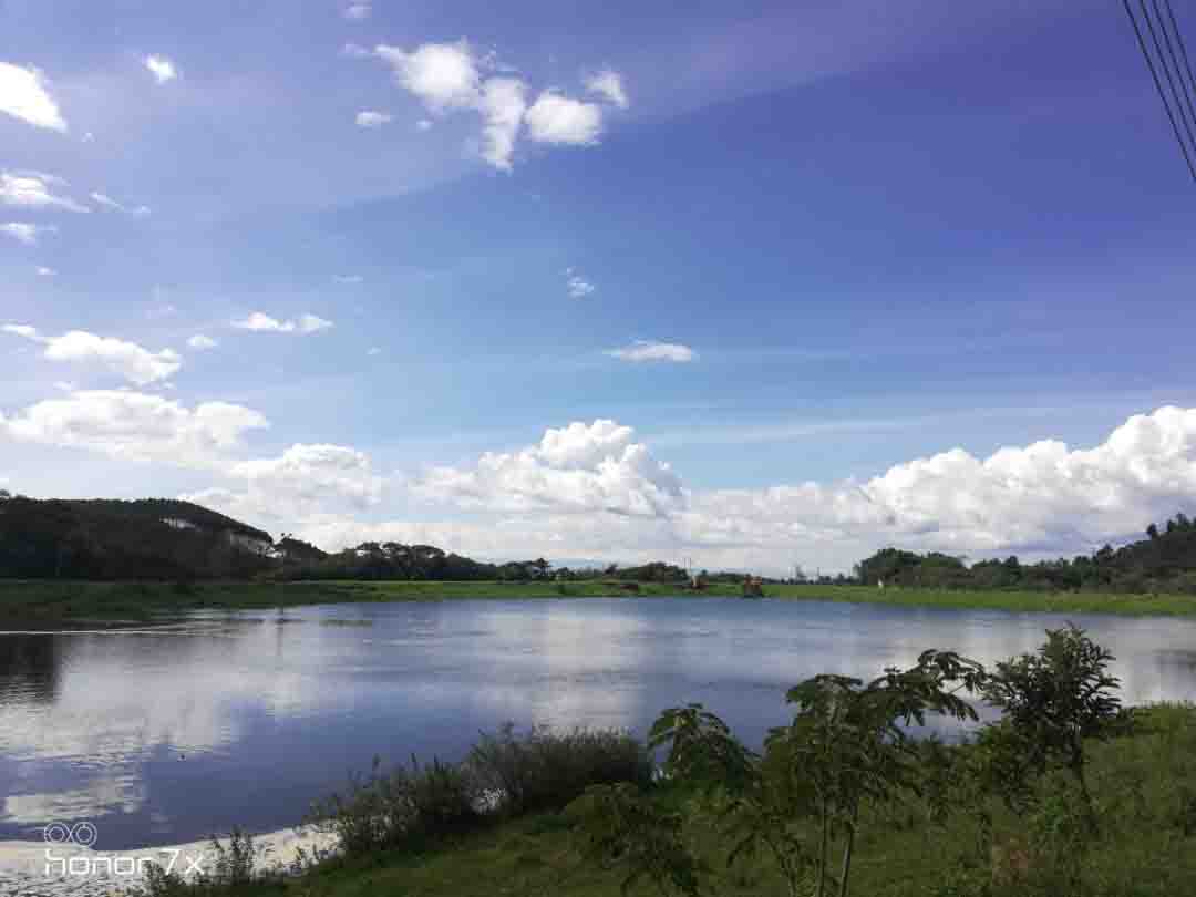 Colección-de-fotografíaLas-bonitas-fotos-tomadas-por-los-fans-de-HONOR