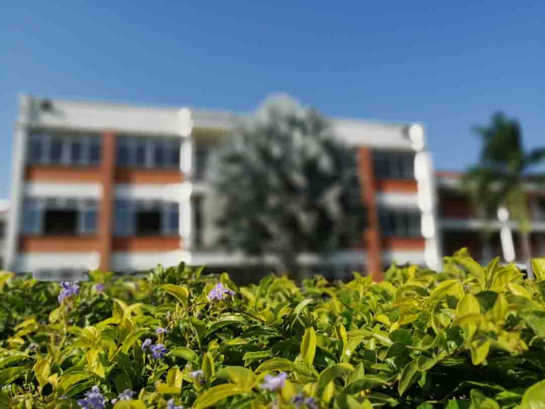 Colección-de-fotografíaLas-bonitas-fotos-tomadas-por-los-fans-de-HONOR