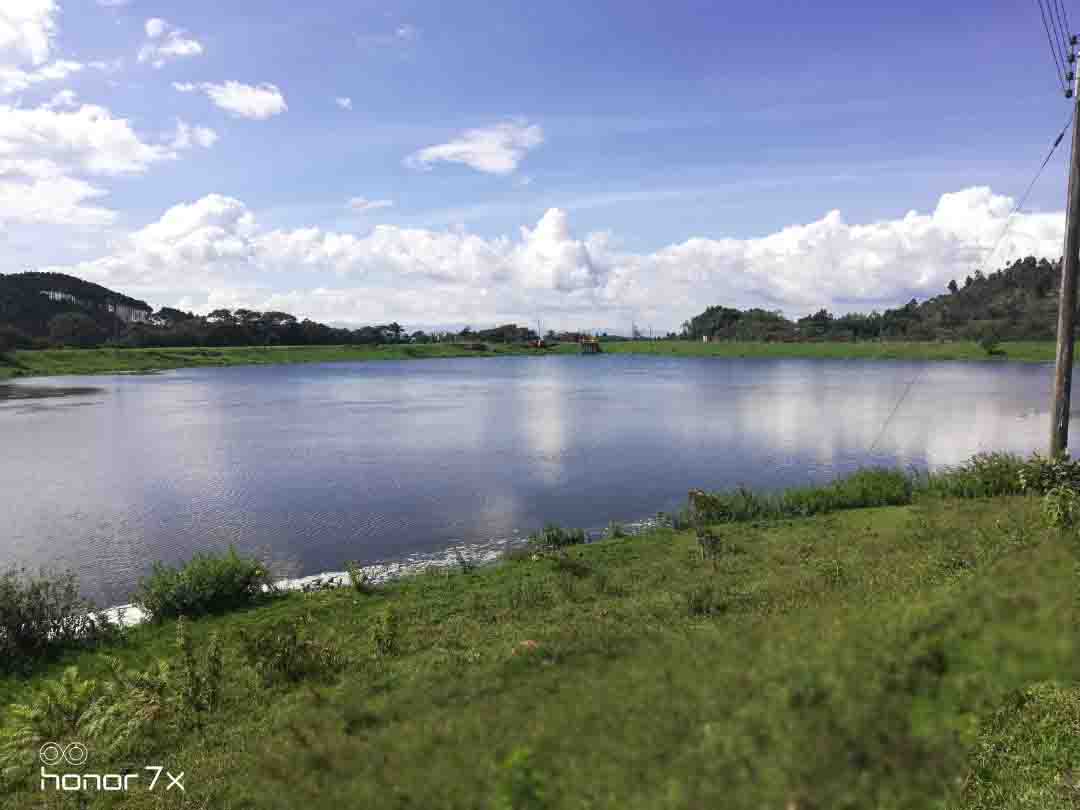 Colección-de-fotografíaLas-bonitas-fotos-tomadas-por-los-fans-de-HONOR