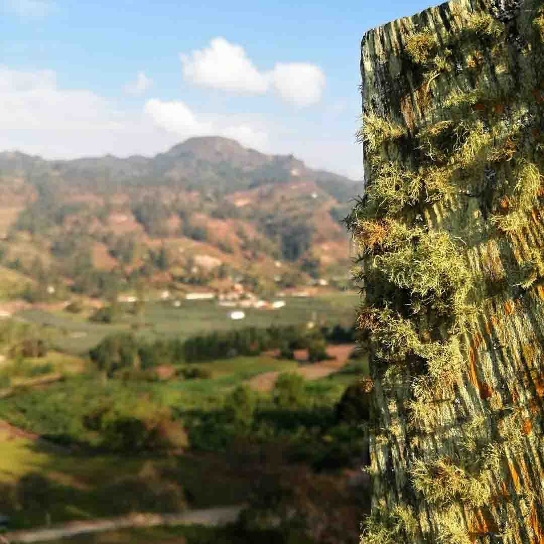 Colección-de-fotografíaLas-bonitas-fotos-tomadas-por-los-fans-de-HONOR