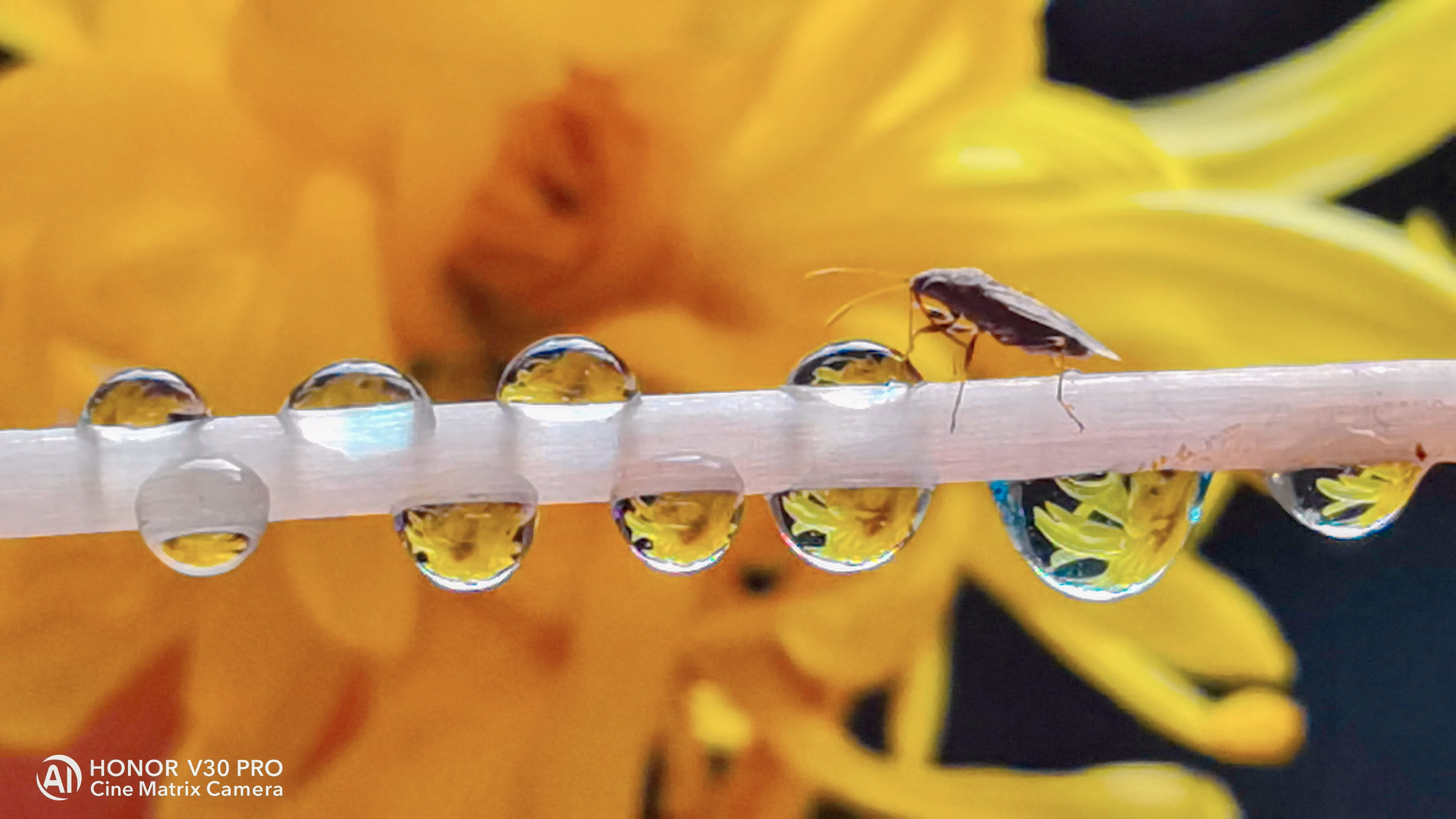 pspanV40-is-beautifulspanimg-srchttpsiforum