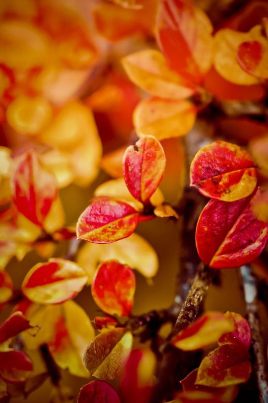 p-styletext-align-centerbrpp-styletext-align-centerbrpp-styletext