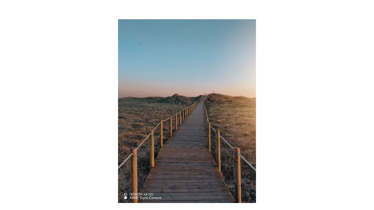 p-styletext-align-centerspan-stylefont-size18pxstrongمرحبا-هونر-فانز