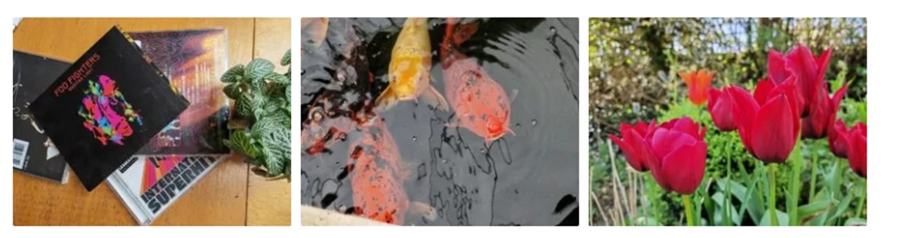 p-styletext-align-centerspan-stylefont-size18pxcolorrgb000strong